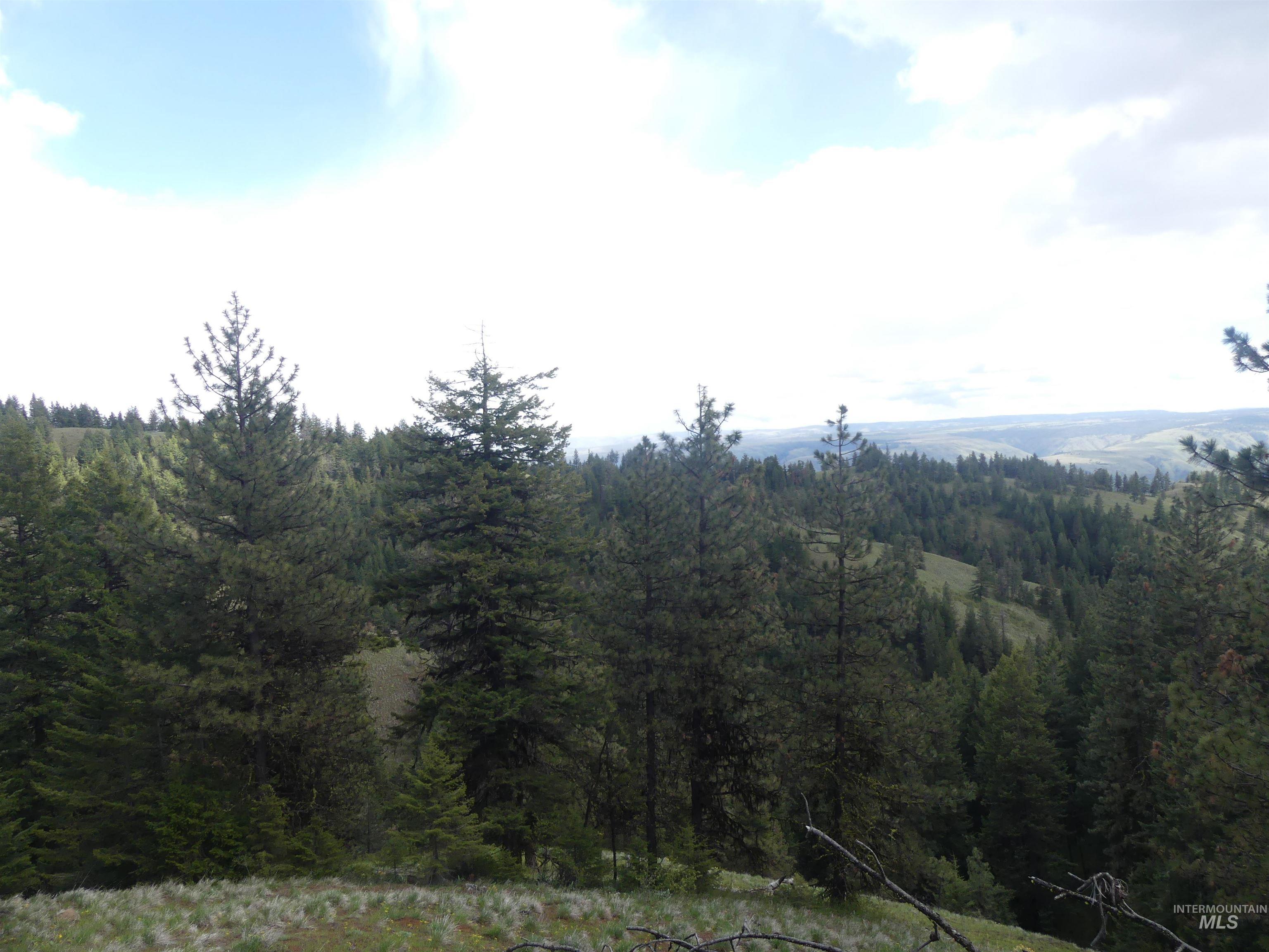 002 Hansen Ridge Road, Anatone, Washington 99401, Land For Sale, Price $200,000,MLS 98910831