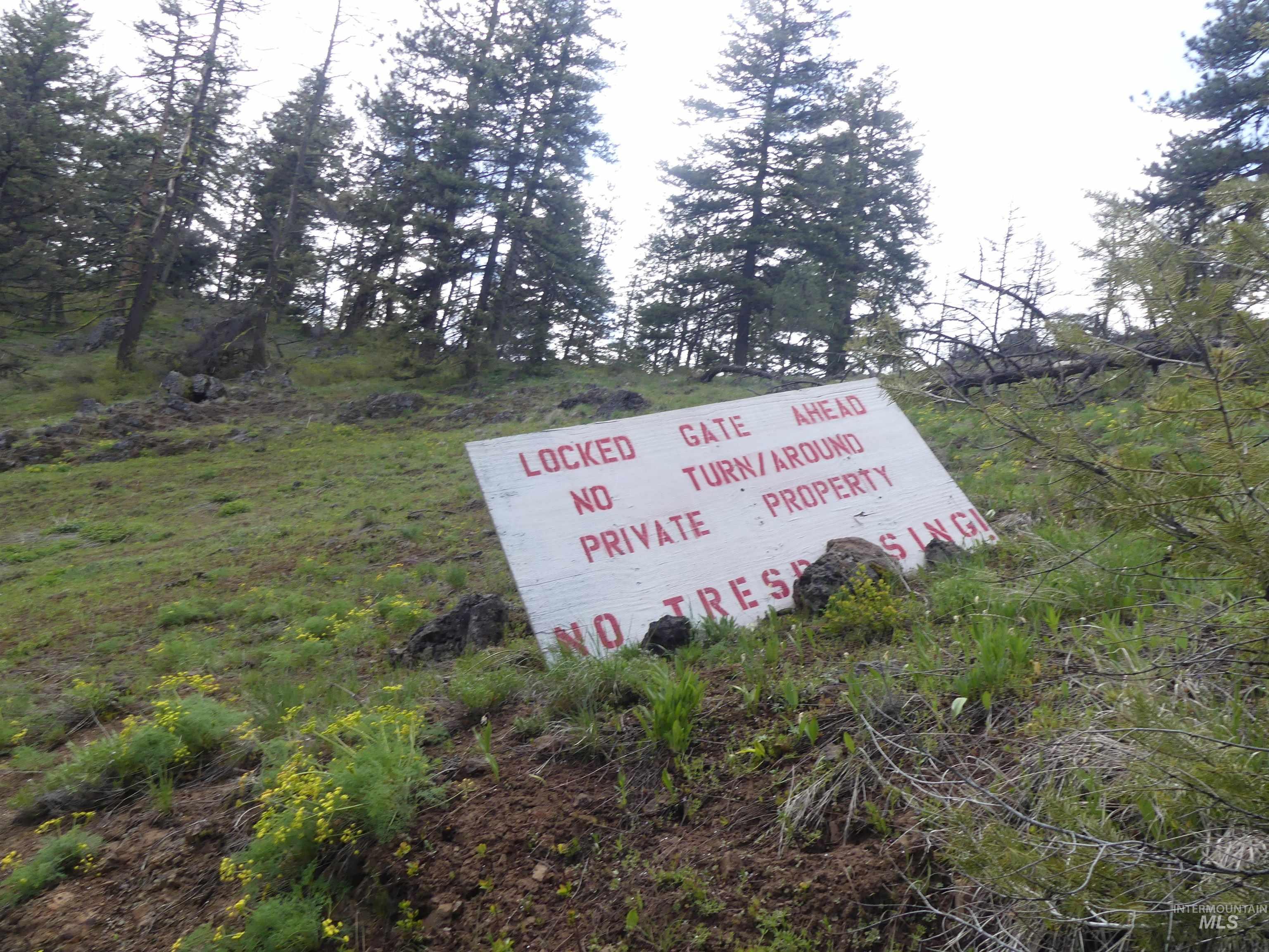 002 Hansen Ridge Road, Anatone, Washington 99401, Land For Sale, Price $200,000,MLS 98910831