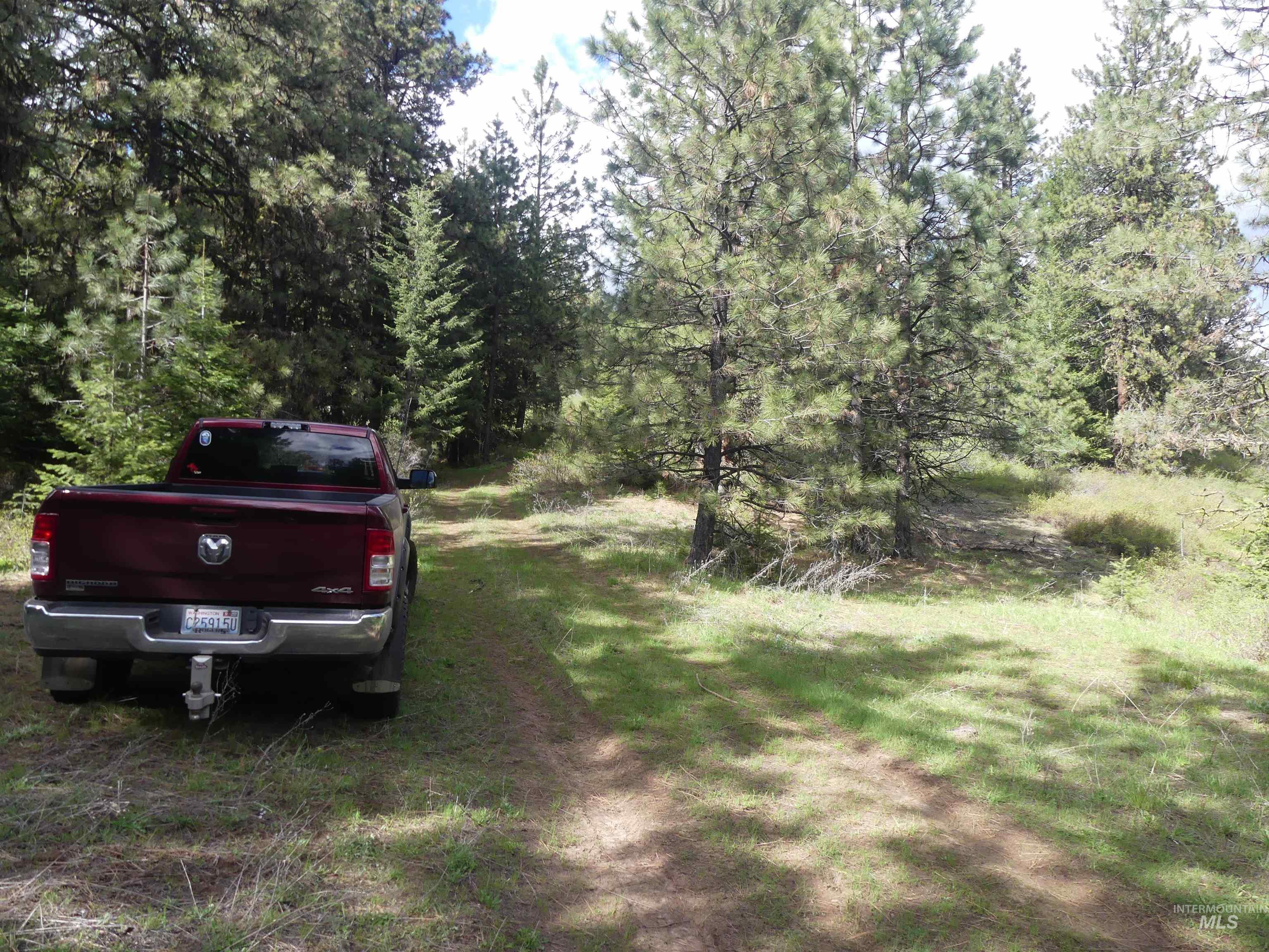 002 Hansen Ridge Road, Anatone, Washington 99401, Land For Sale, Price $200,000,MLS 98910831