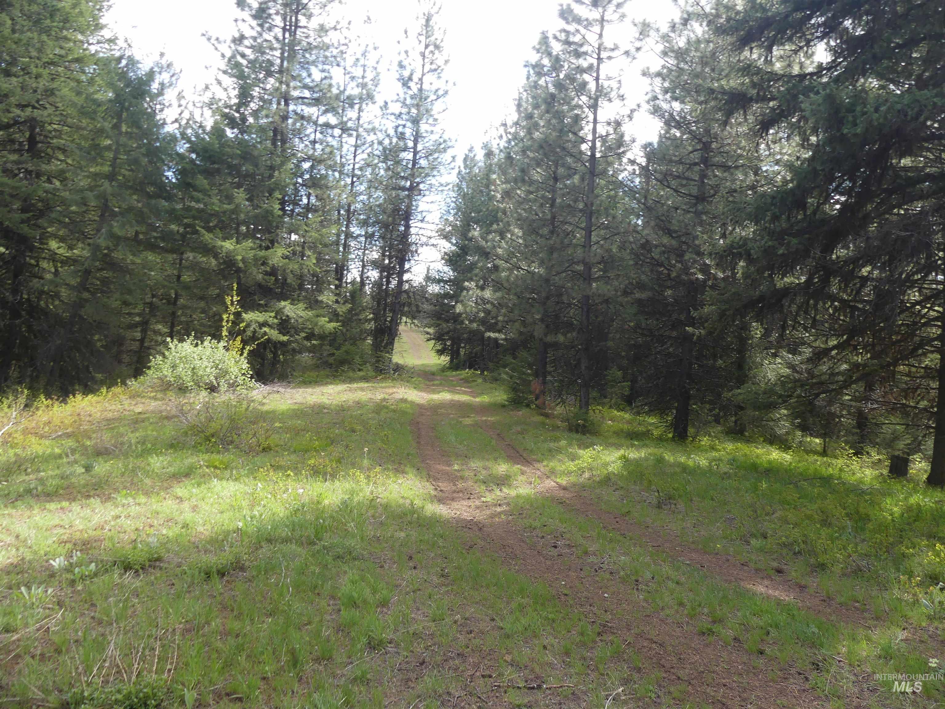 002 Hansen Ridge Road, Anatone, Washington 99401, Land For Sale, Price $200,000,MLS 98910831