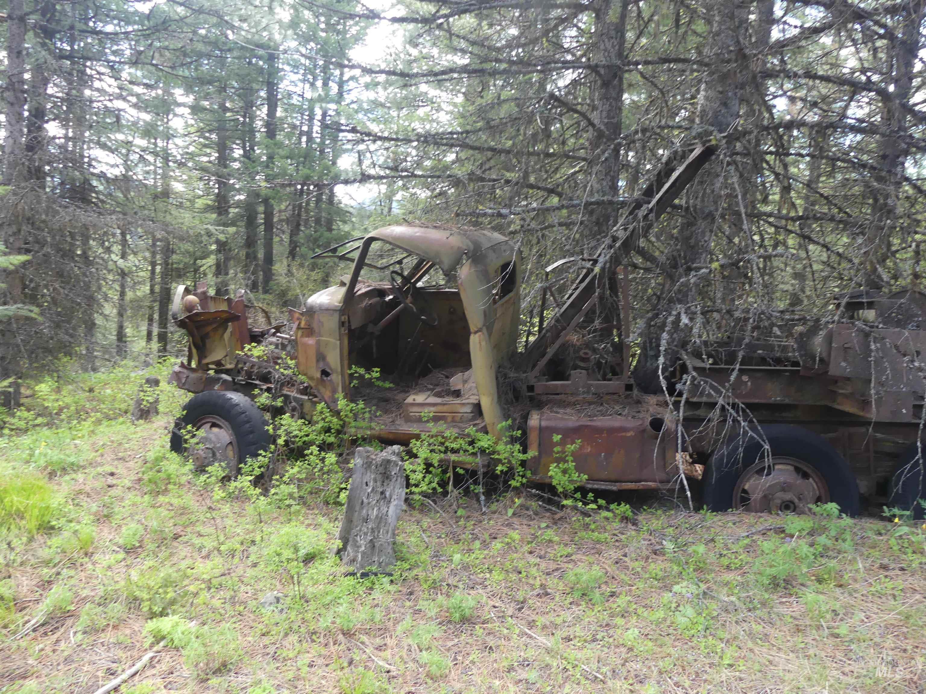 002 Hansen Ridge Road, Anatone, Washington 99401, Land For Sale, Price $200,000,MLS 98910831