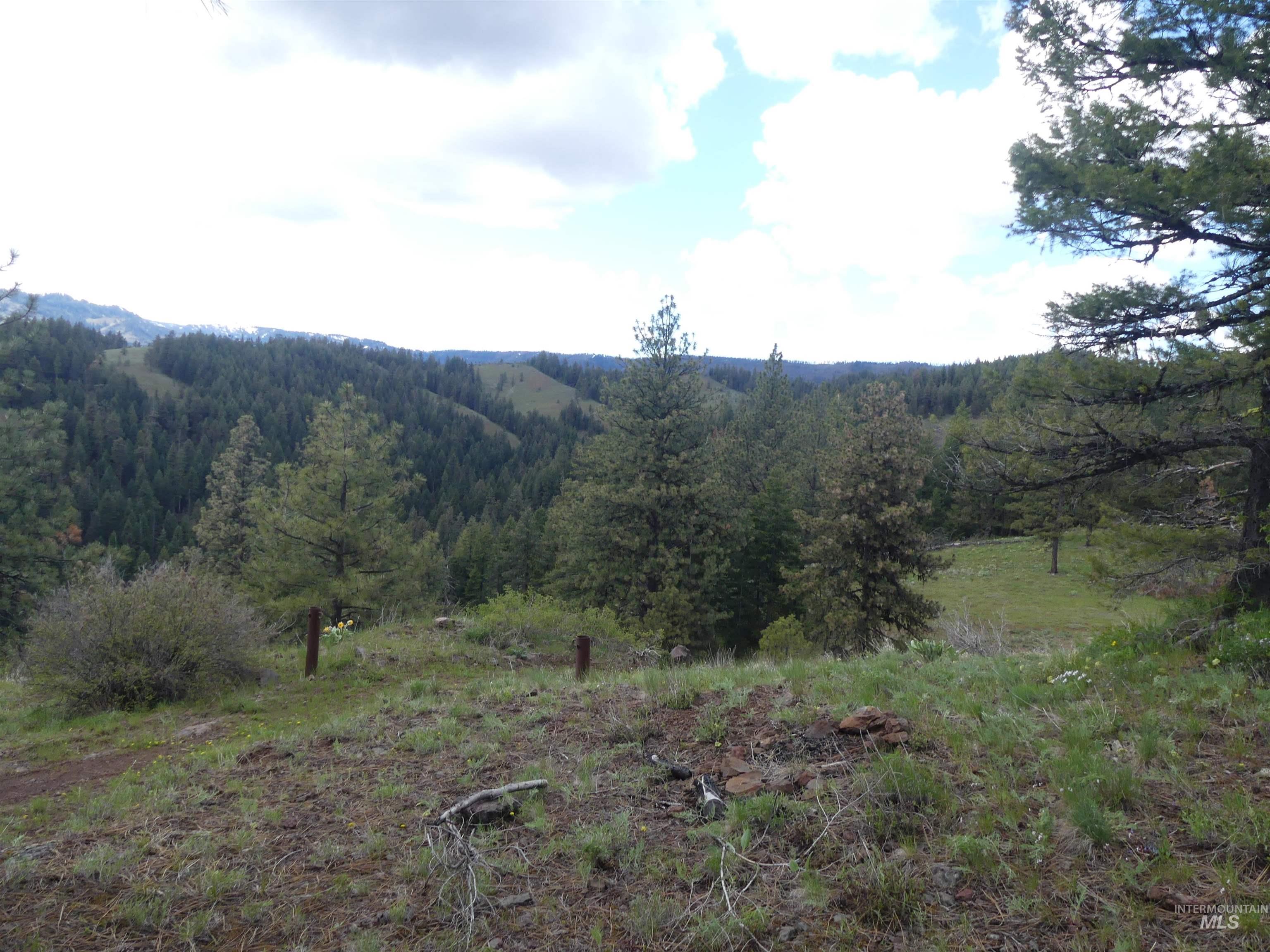 002 Hansen Ridge Road, Anatone, Washington 99401, Land For Sale, Price $200,000,MLS 98910831