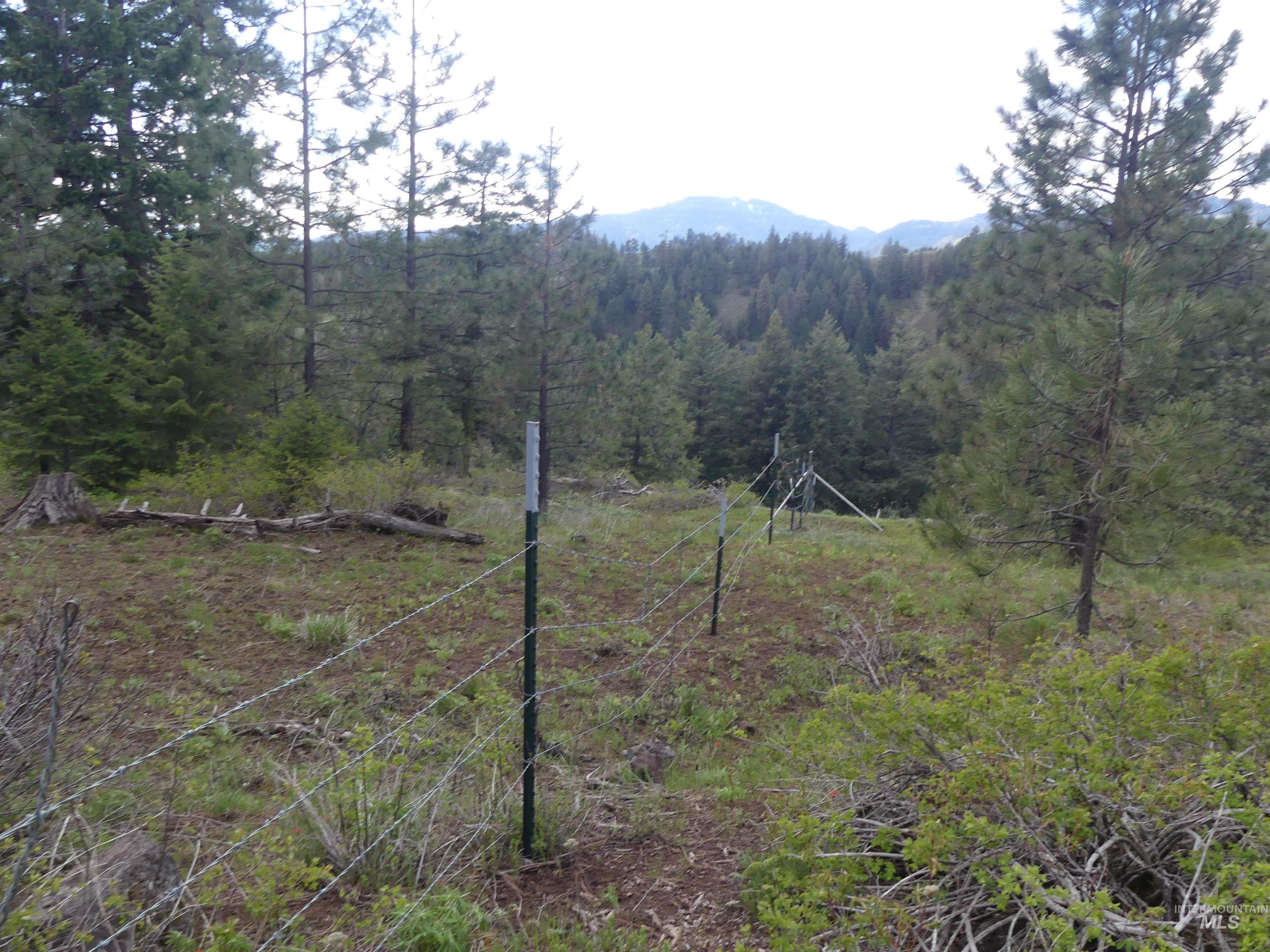 002 Hansen Ridge Road, Anatone, Washington 99401, Land For Sale, Price $200,000,MLS 98910831