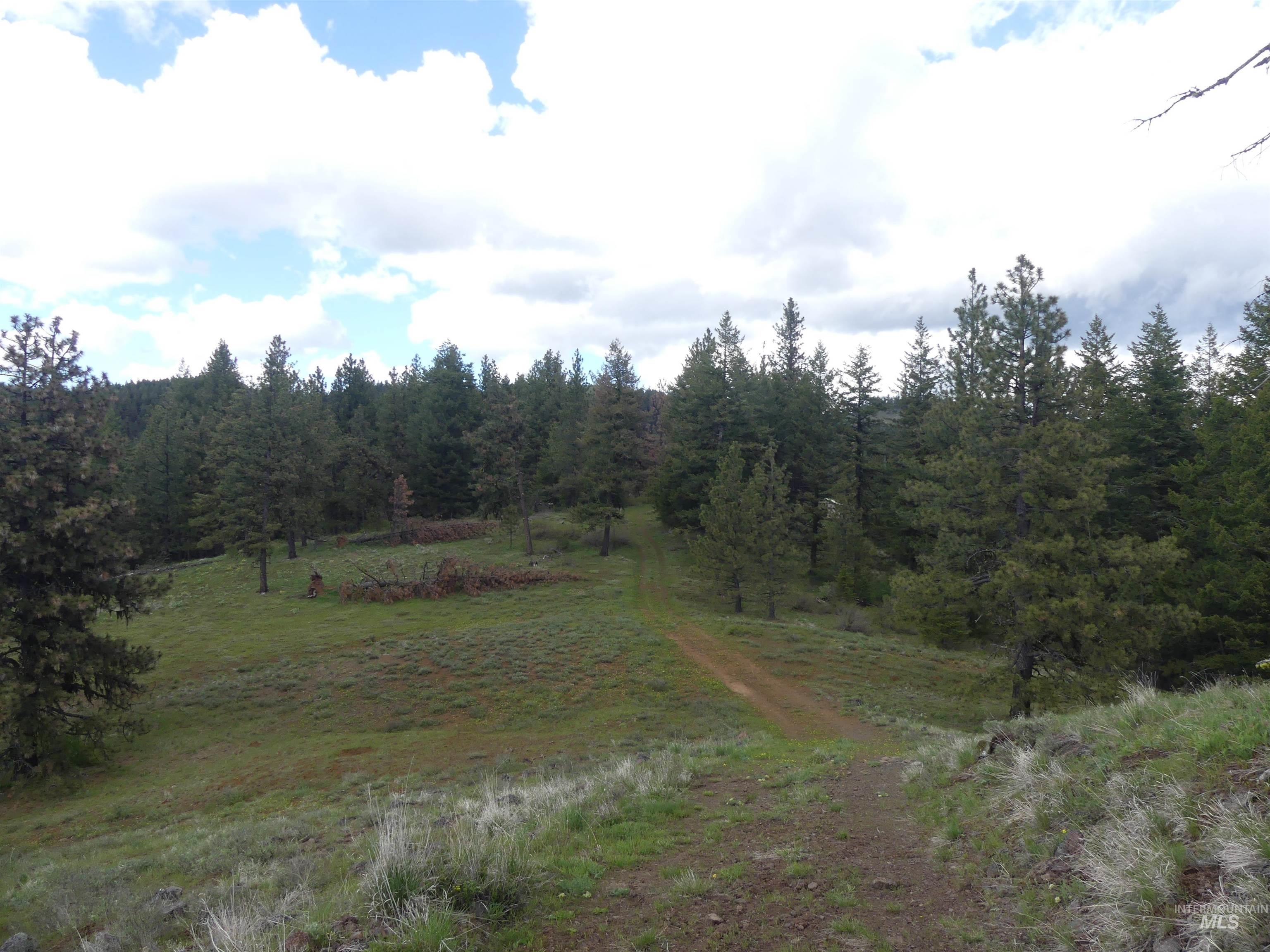 002 Hansen Ridge Road, Anatone, Washington 99401, Land For Sale, Price $200,000,MLS 98910831