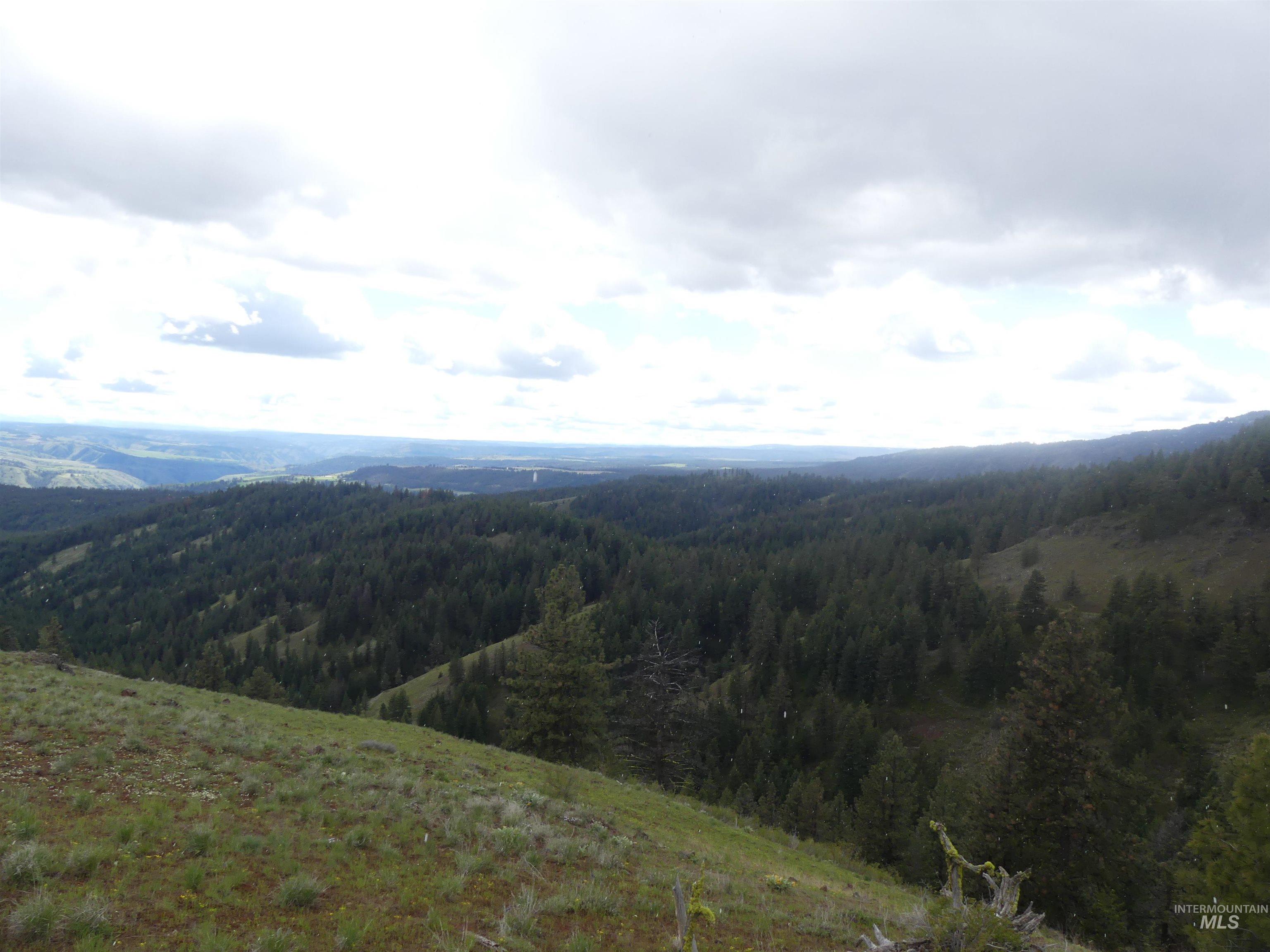 002 Hansen Ridge Road, Anatone, Washington 99401, Land For Sale, Price $200,000,MLS 98910831