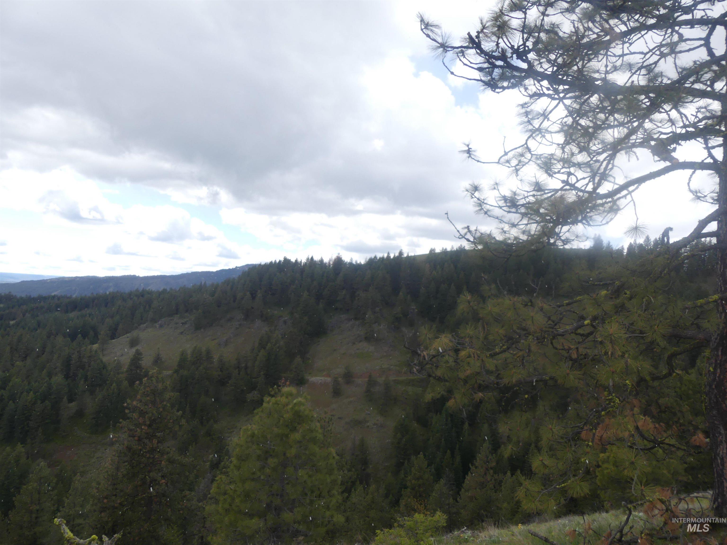 002 Hansen Ridge Road, Anatone, Washington 99401, Land For Sale, Price $200,000,MLS 98910831