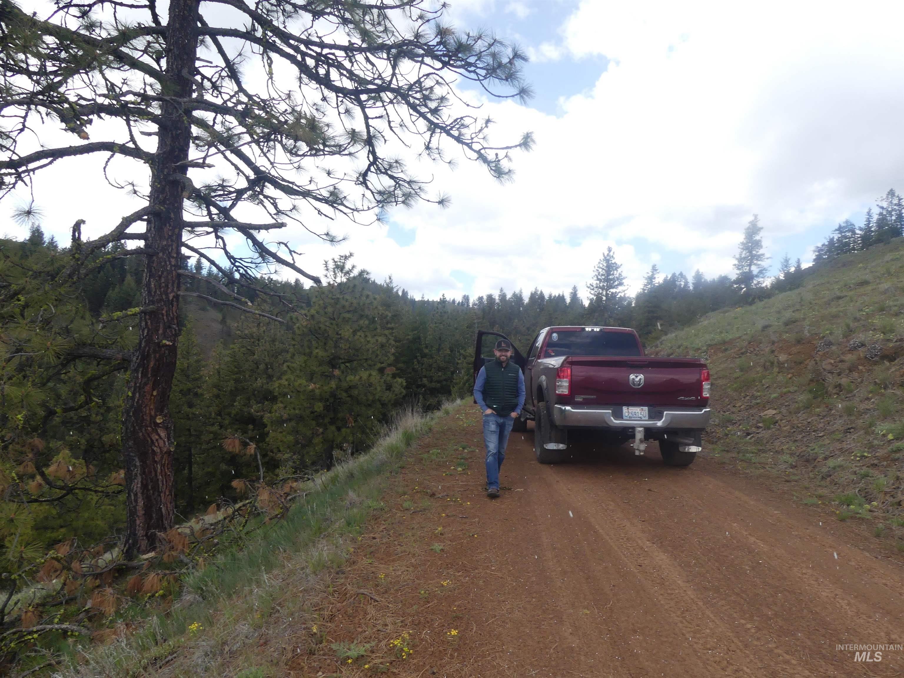 002 Hansen Ridge Road, Anatone, Washington 99401, Land For Sale, Price $200,000,MLS 98910831