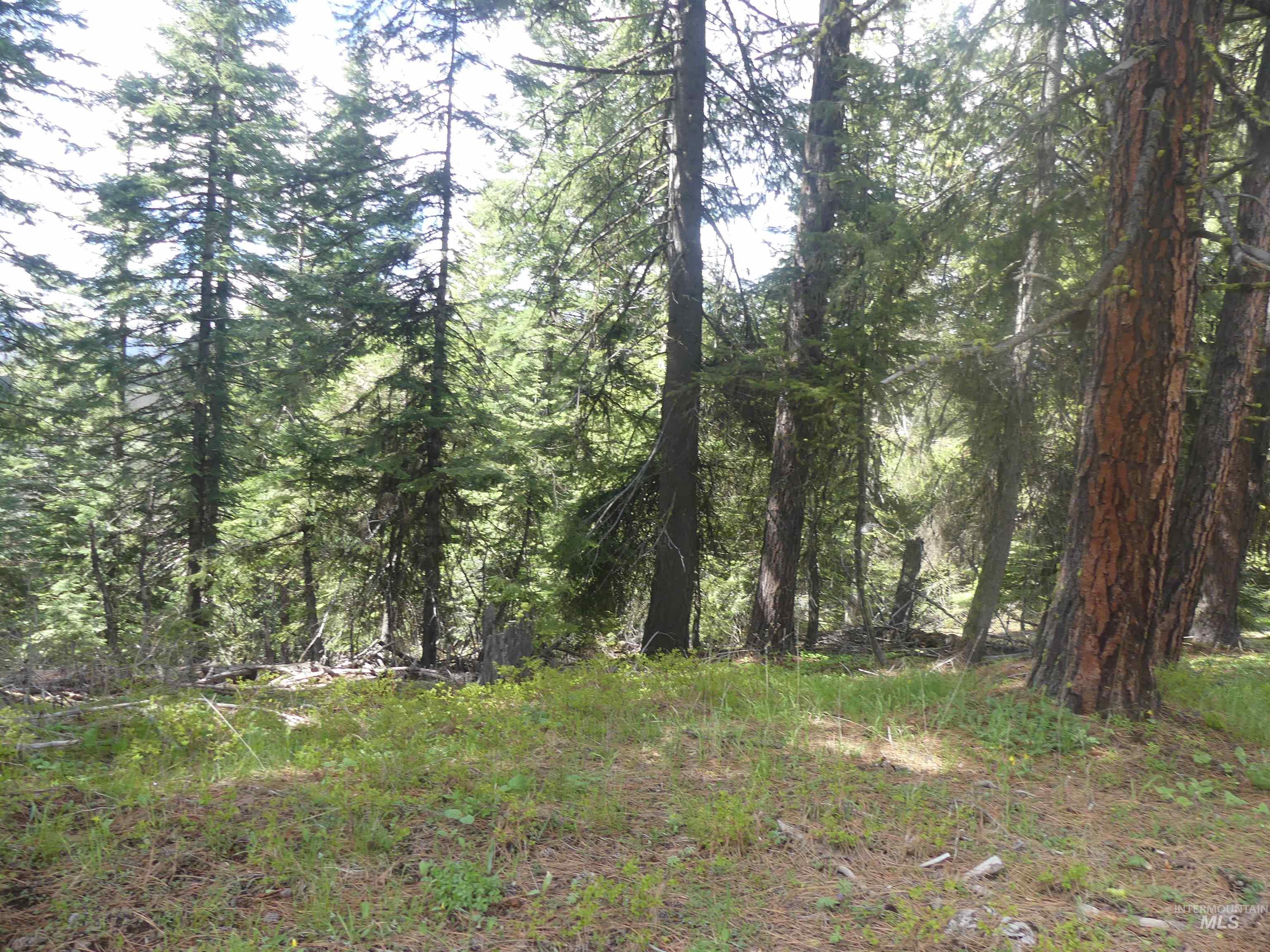 001 Hansen Ridge Road, Anatone, Washington 99401, Land For Sale, Price $200,000,MLS 98910832