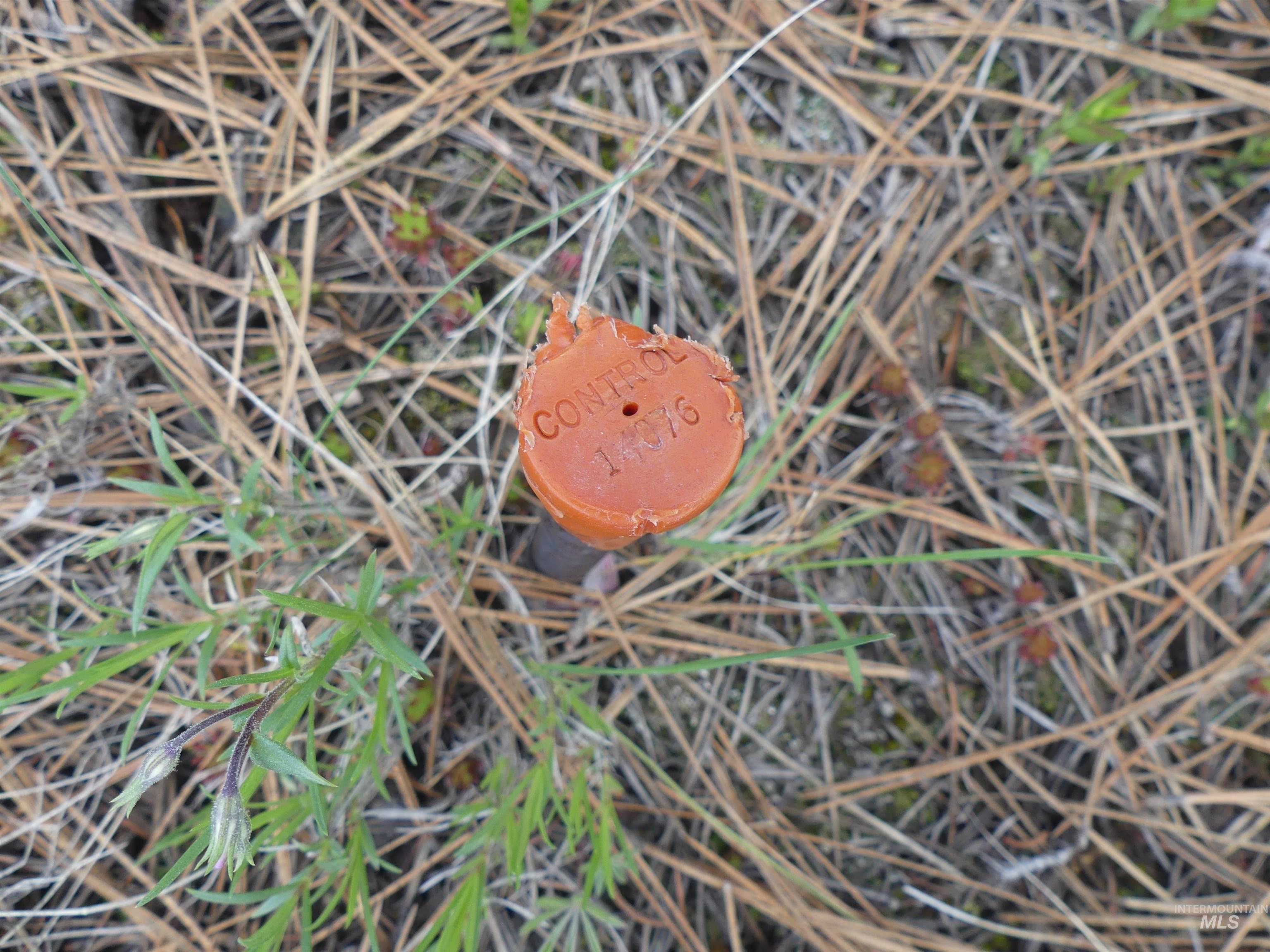 001 Hansen Ridge Road, Anatone, Washington 99401, Land For Sale, Price $200,000,MLS 98910832