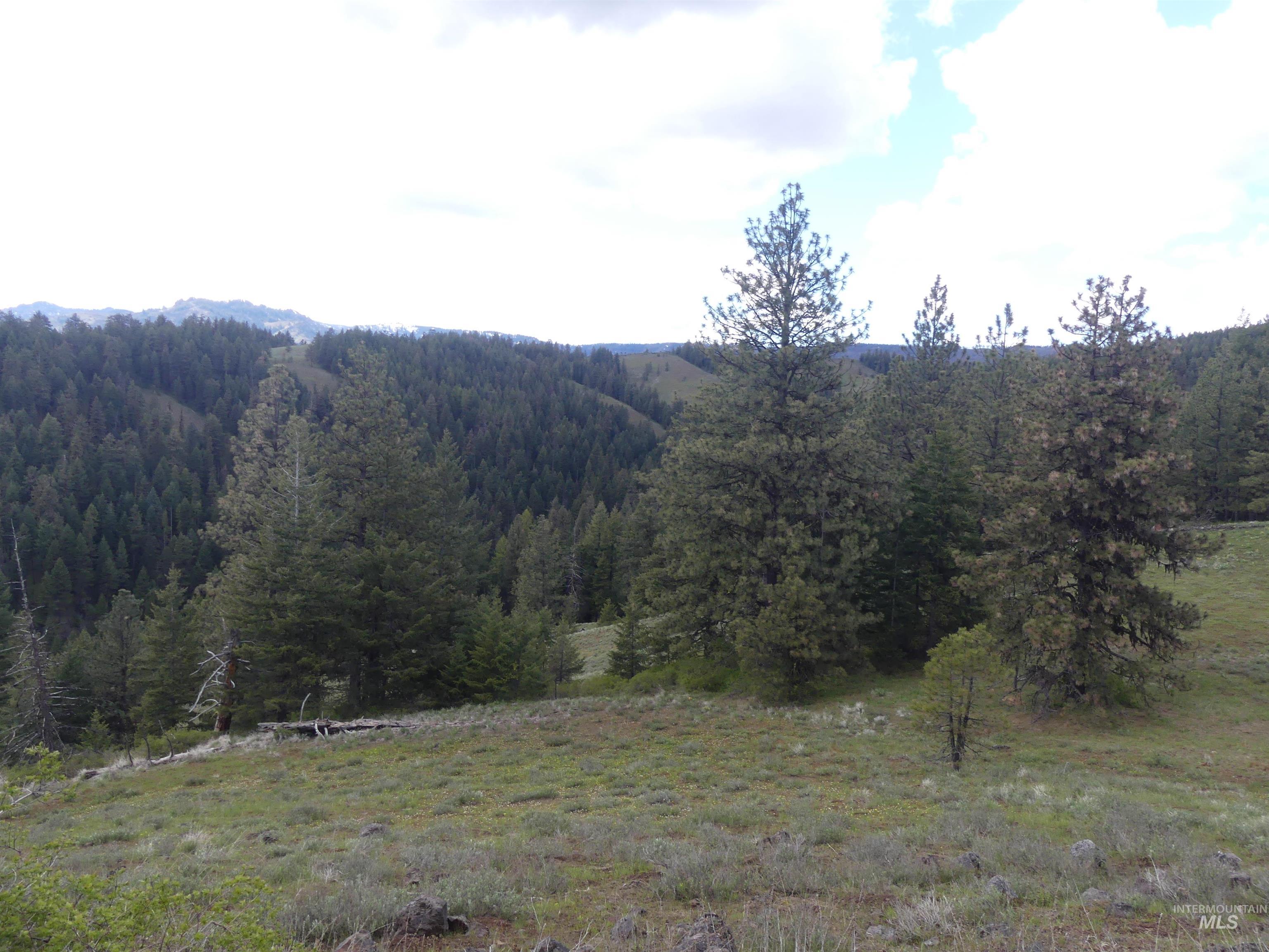 001 Hansen Ridge Road, Anatone, Washington 99401, Land For Sale, Price $200,000,MLS 98910832