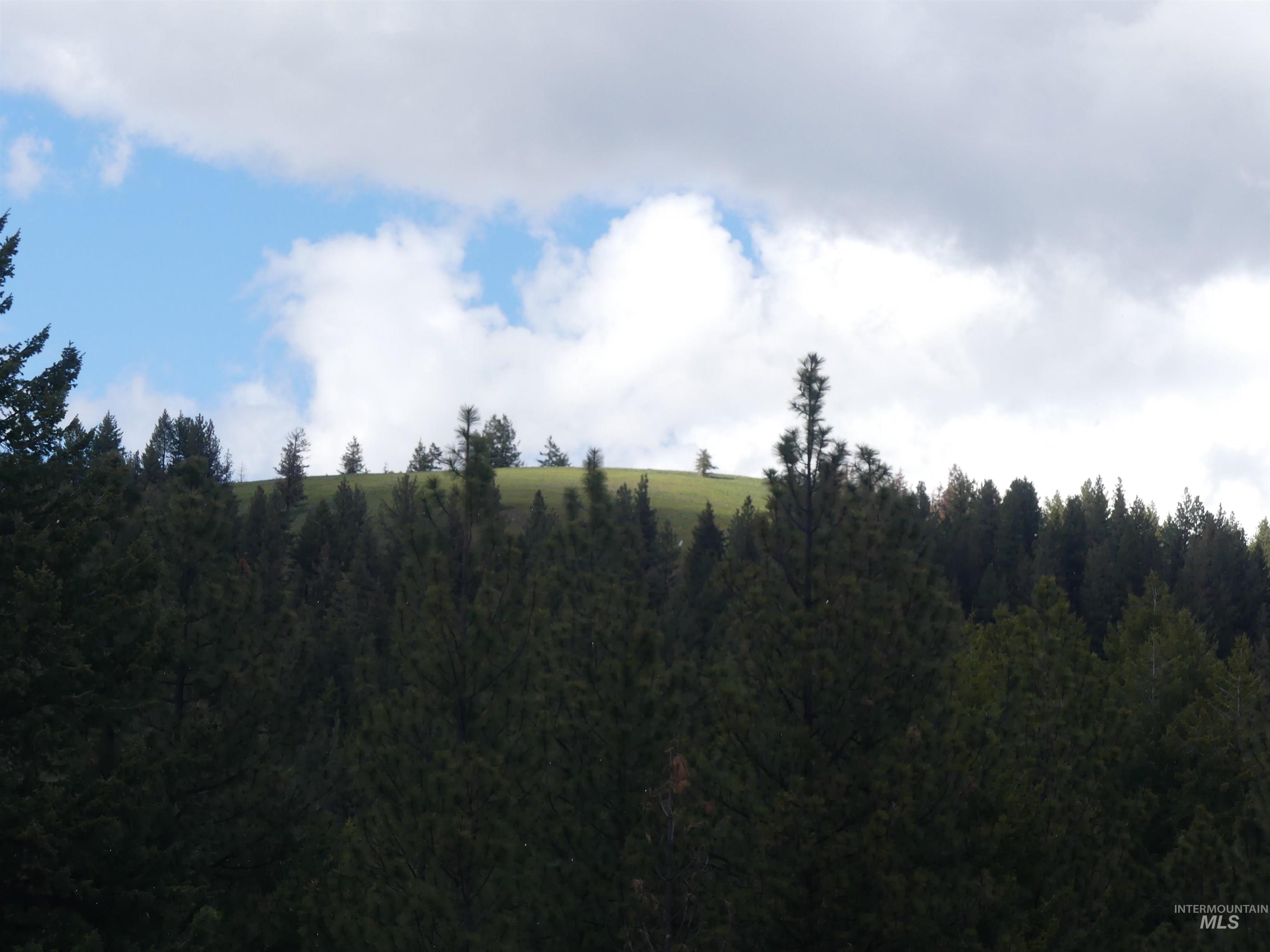 001 Hansen Ridge Road, Anatone, Washington 99401, Land For Sale, Price $200,000,MLS 98910832