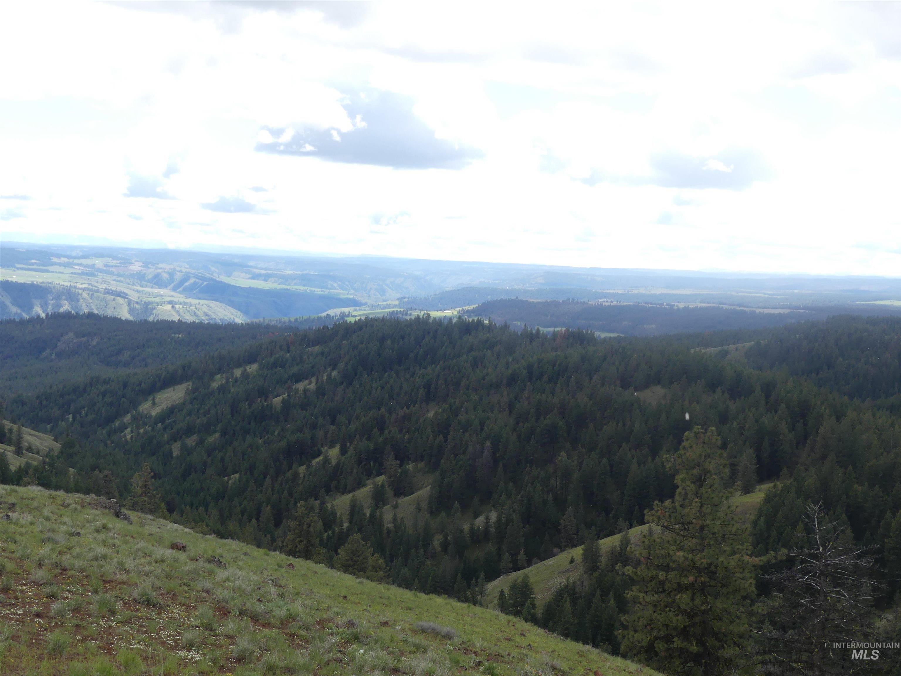 001 Hansen Ridge Road, Anatone, Washington 99401, Land For Sale, Price $200,000,MLS 98910832