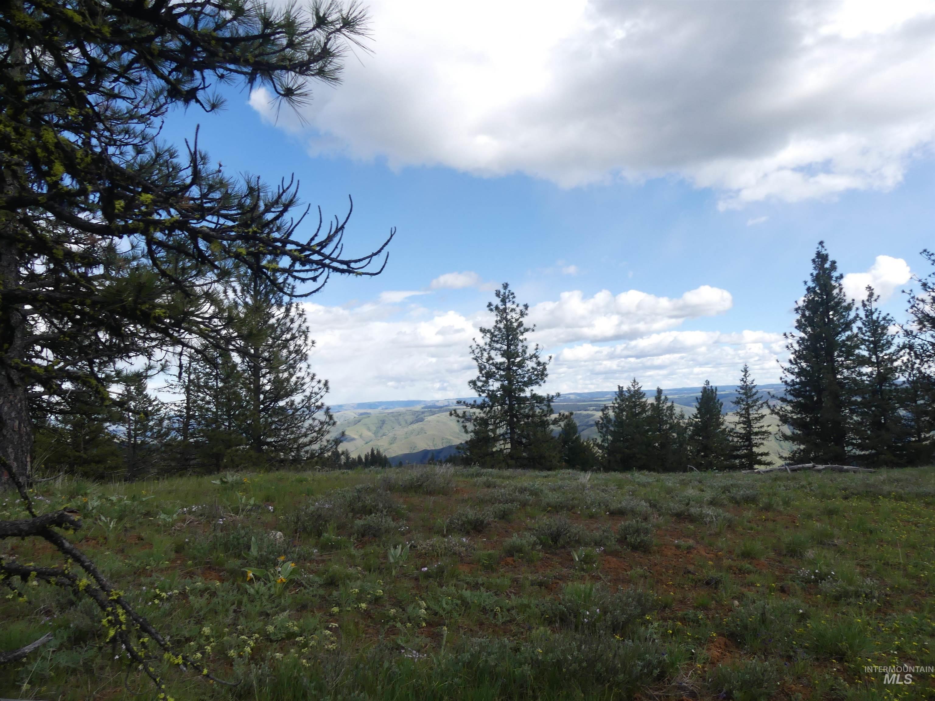 001 Hansen Ridge Road, Anatone, Washington 99401, Land For Sale, Price $200,000,MLS 98910832