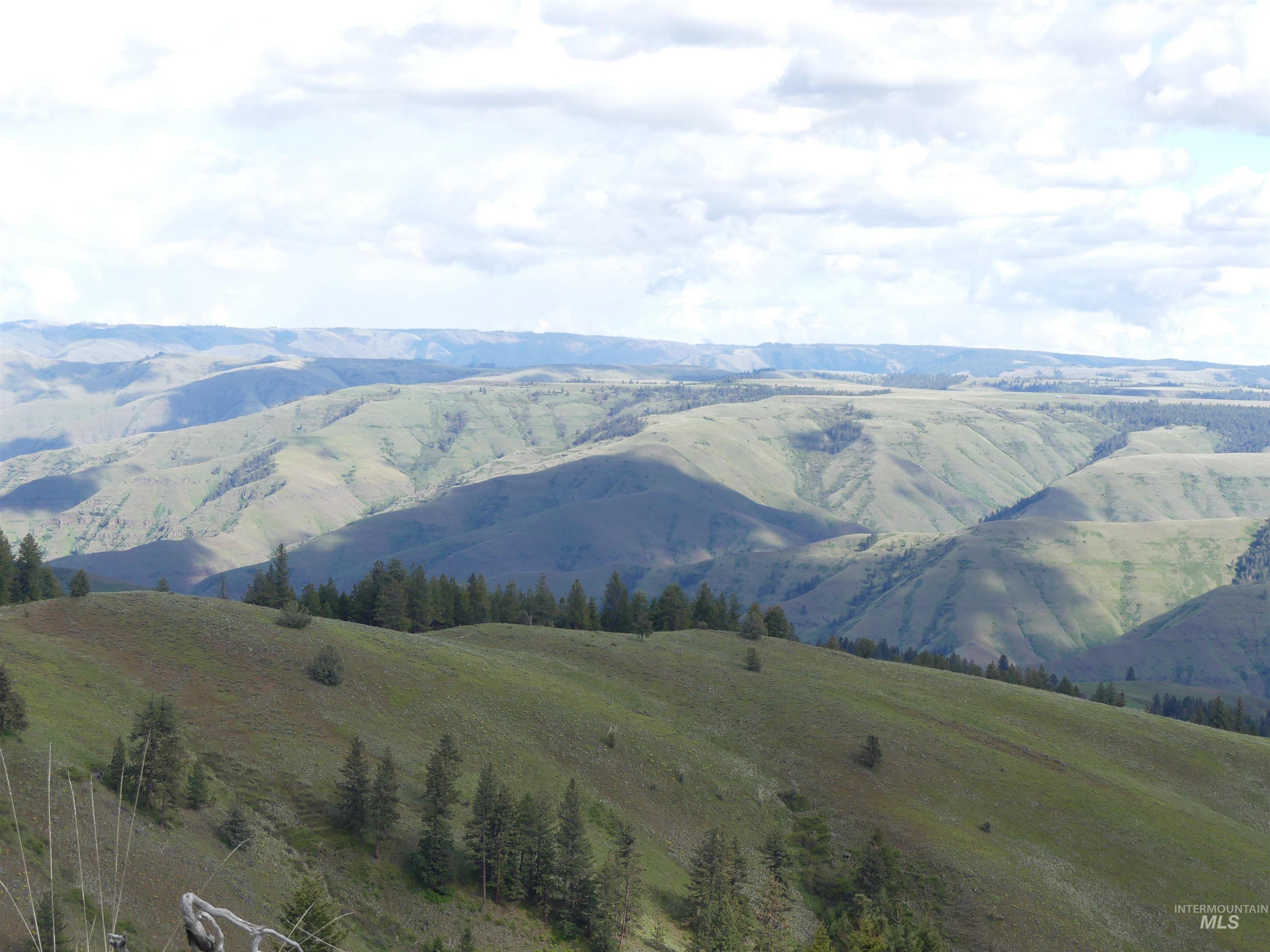 001 Hansen Ridge Road, Anatone, Washington 99401, Land For Sale, Price $200,000,MLS 98910832