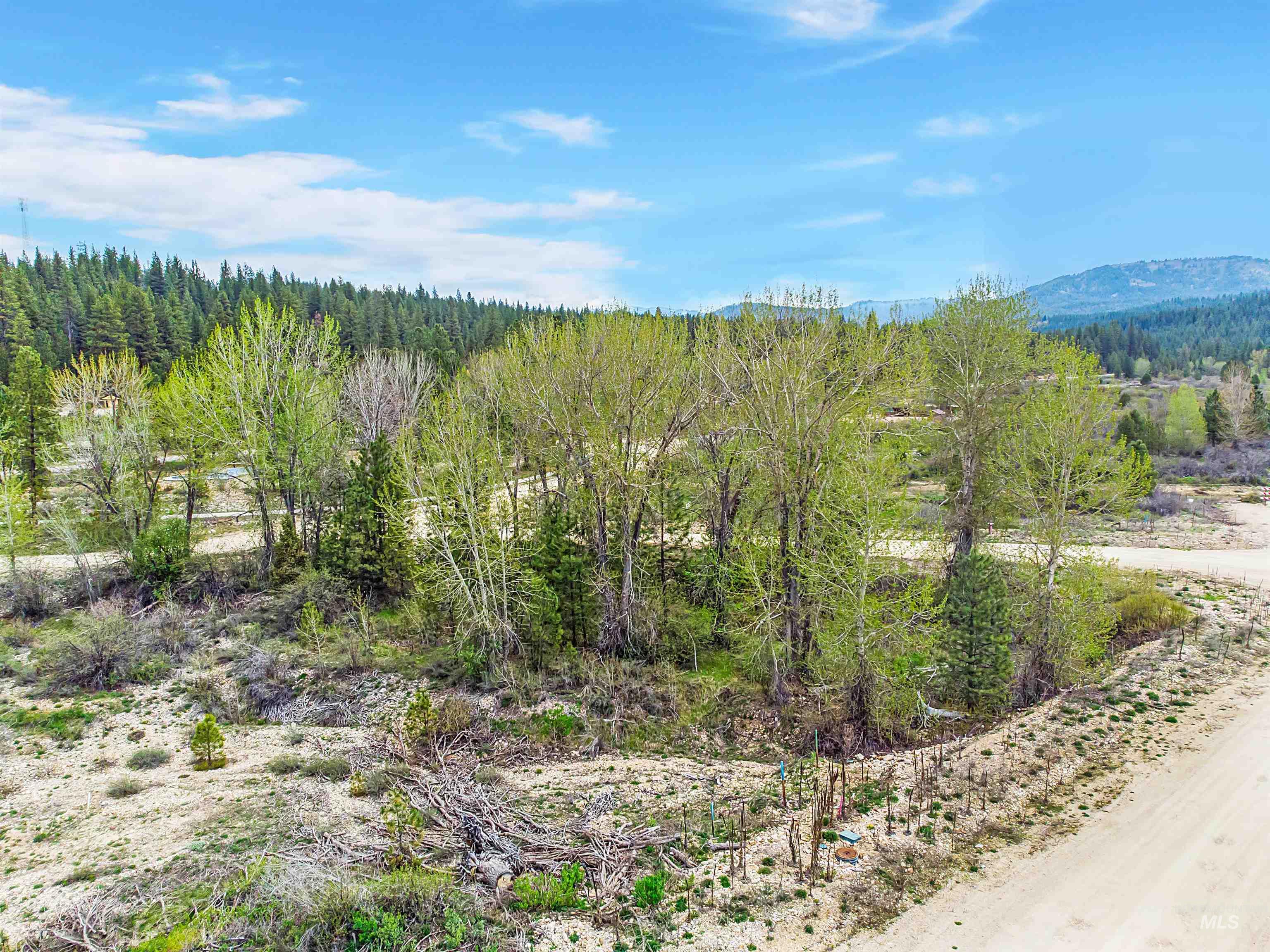 Lot 80 Lainey Lane, Idaho City, Idaho 83631, Land For Sale, Price $75,000, 98910929