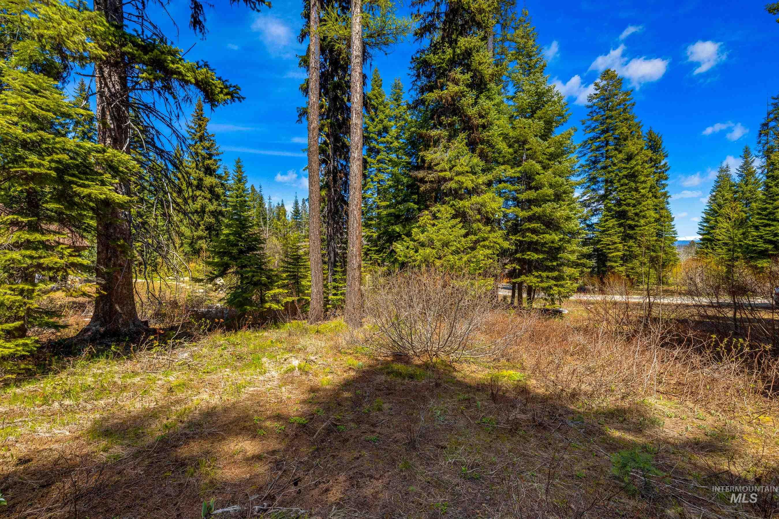 86 Pinnacle Court, Donnelly, Idaho 83615, Land For Sale, Price $589,000,MLS 98911039
