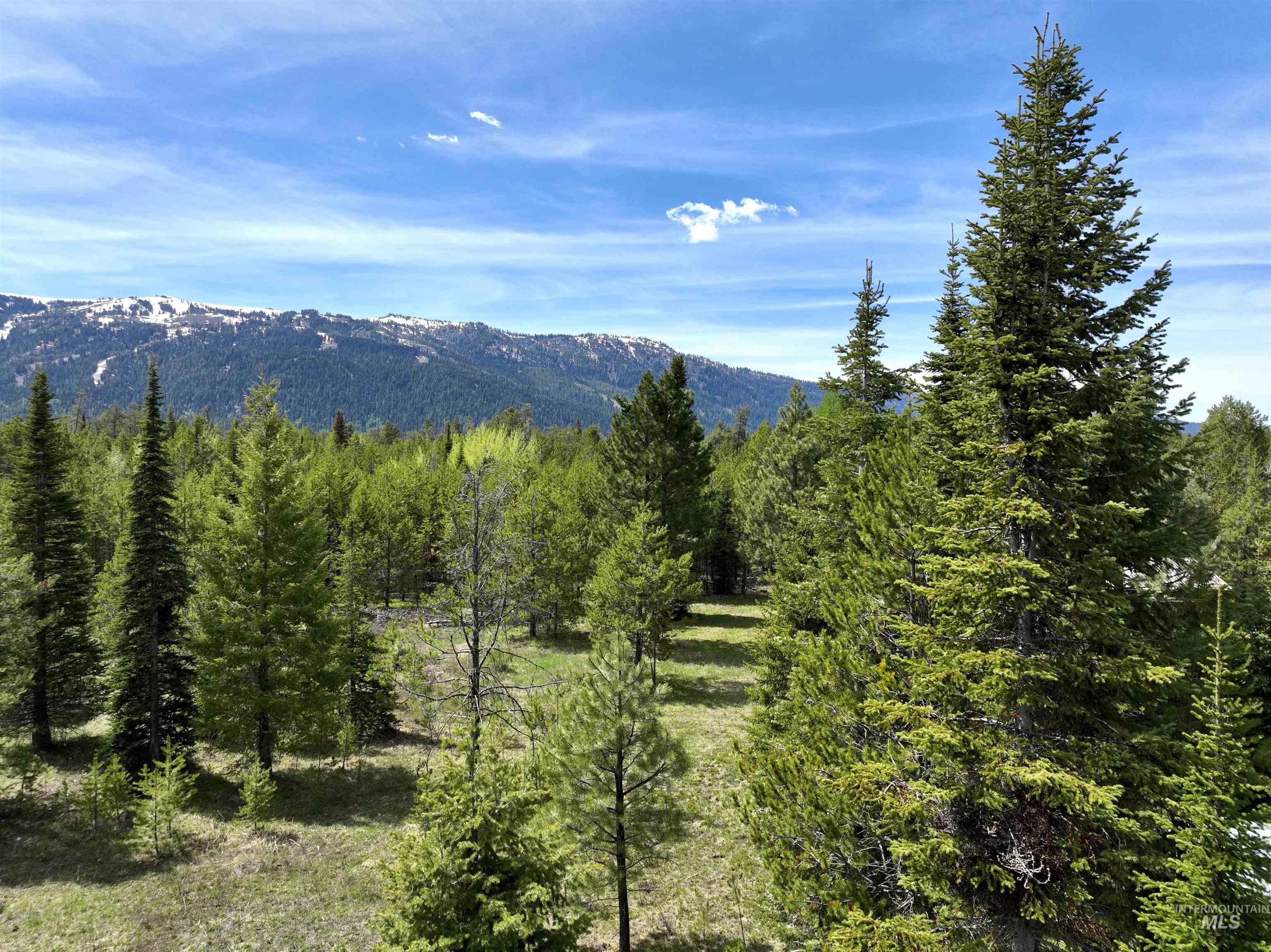 207 Jacks Lane, Donnelly, Idaho 83615, Land For Sale, Price $325,000,MLS 98911096