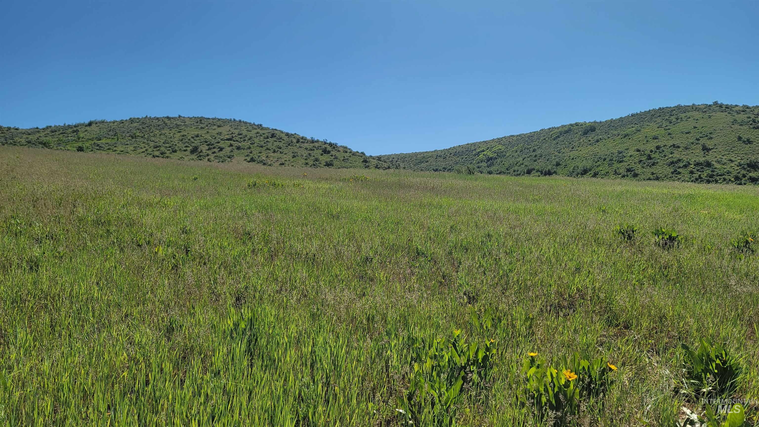 TBD S Exeter Rd., Council, Idaho 83612, Land For Sale, Price $728,000,MLS 98911100