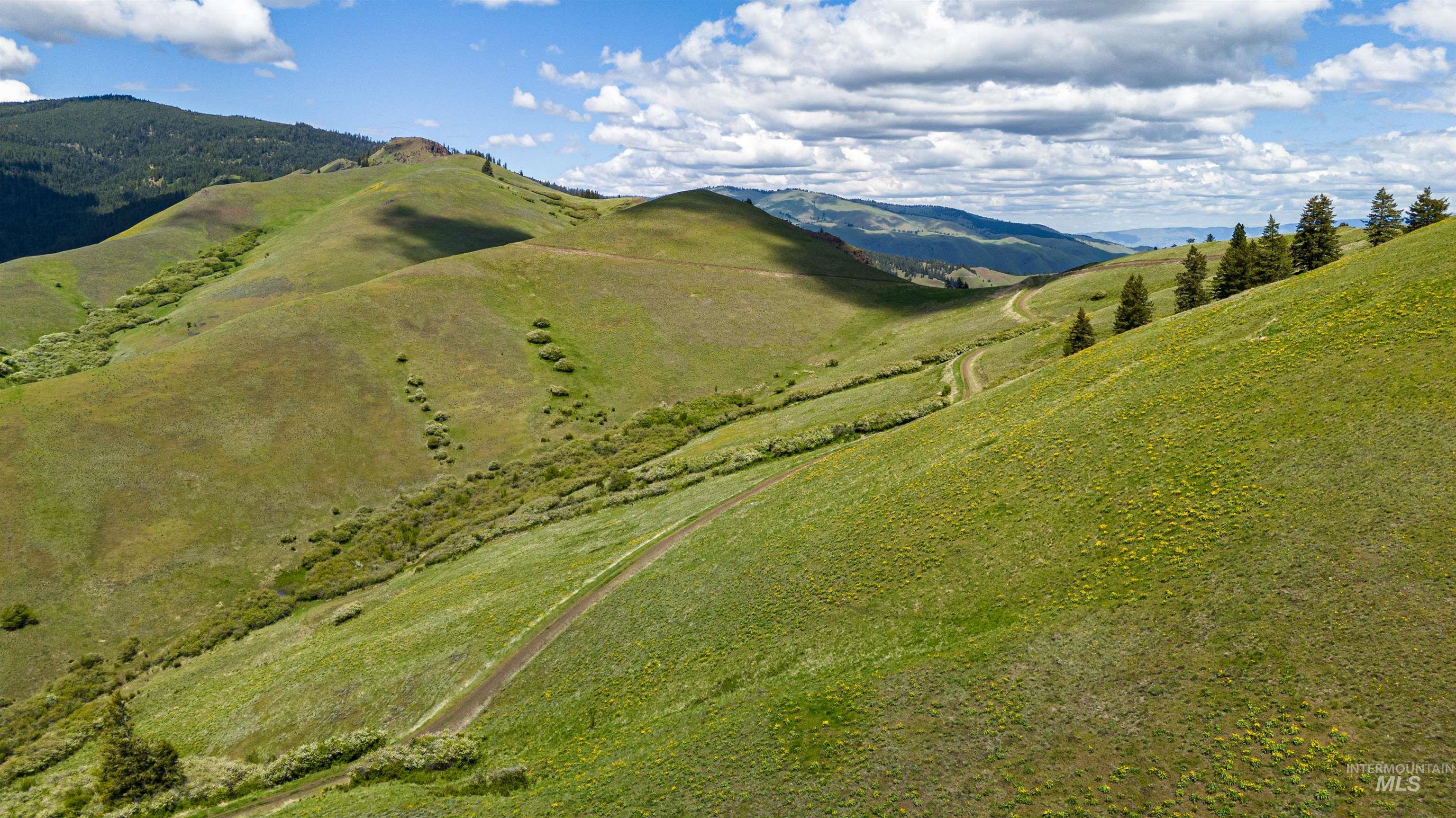 673 Race Creek Rd, Riggins, Idaho 83542, 1 Bedroom, 1 Bathroom, Farm & Ranch For Sale, Price $5,600,000,MLS 98911153