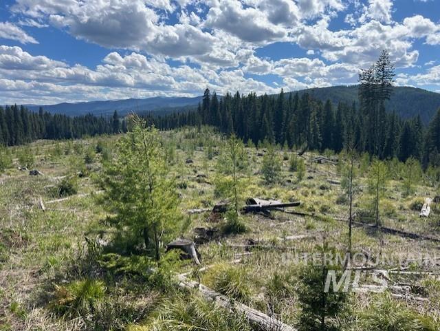 333 French Gulch Parcel 3, Elk City, Idaho 83525, Land For Sale, Price $275,000,MLS 98911173