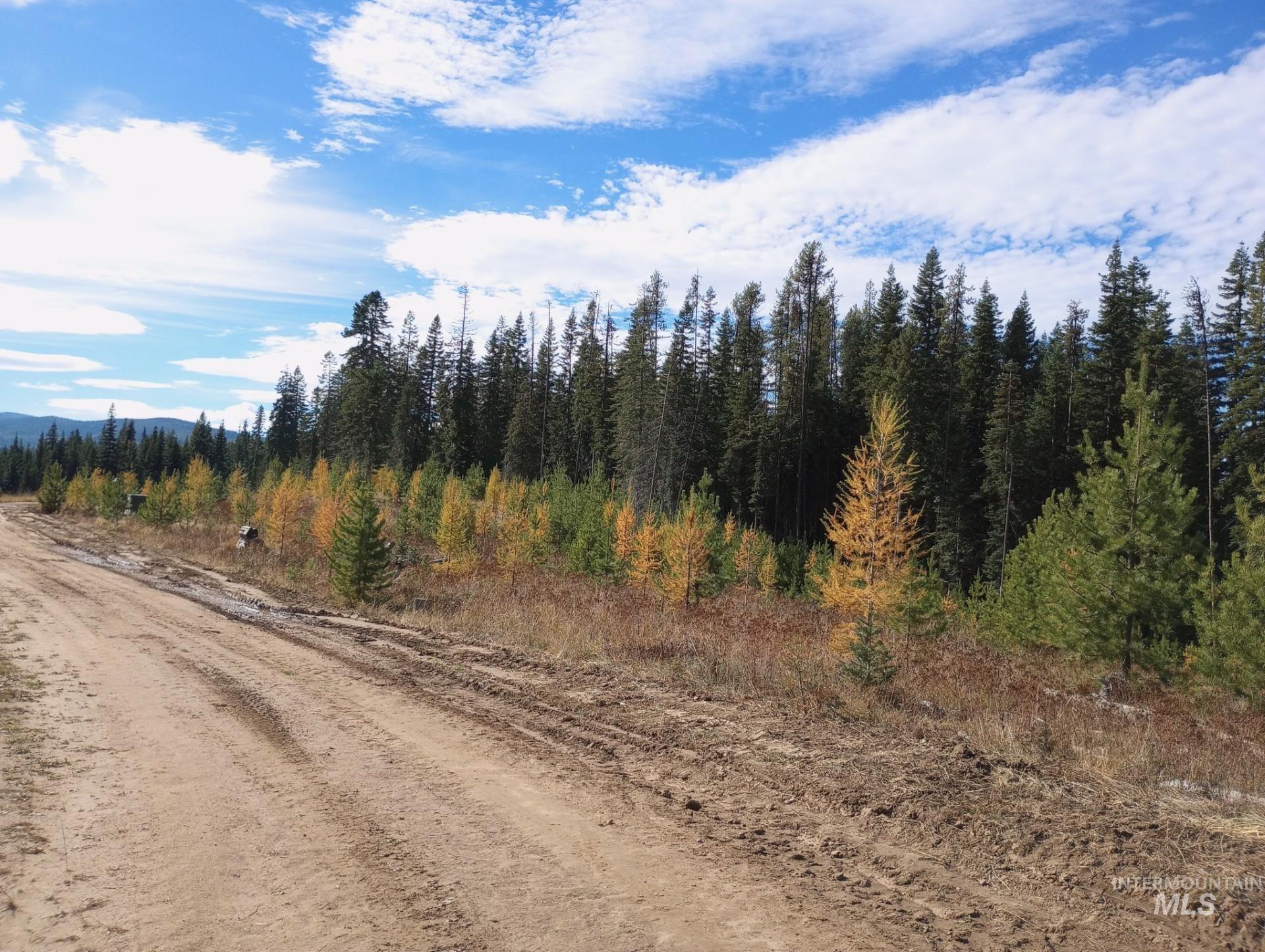 TBD French Gulch Parcel 3, Elk City, Idaho 83525, Land For Sale, Price $265,000, 98911173