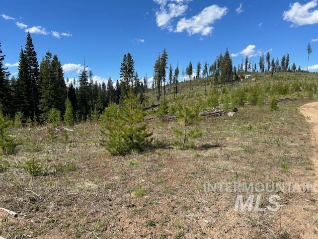 TBD French Gulch Parcel 3, Elk City, Idaho 83525, Land For Sale, Price $265,000, 98911173