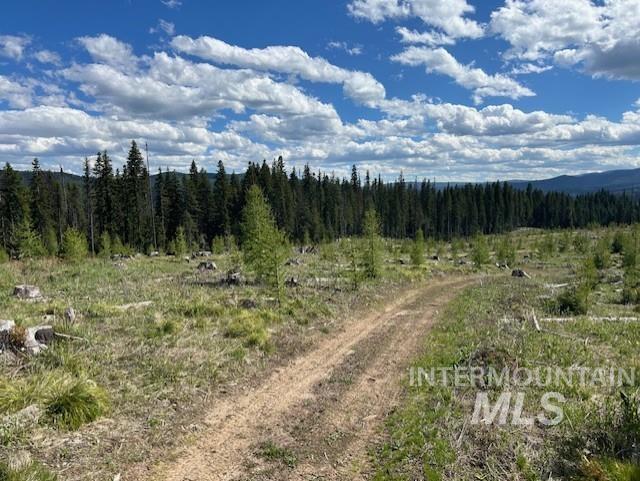 TBD French Gulch Parcel 3, Elk City, Idaho 83525, Land For Sale, Price $265,000, 98911173