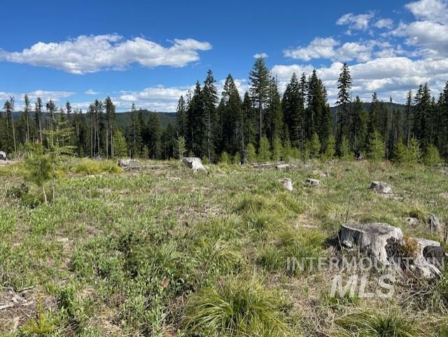TBD French Gulch Parcel 3, Elk City, Idaho 83525, Land For Sale, Price $265,000, 98911173