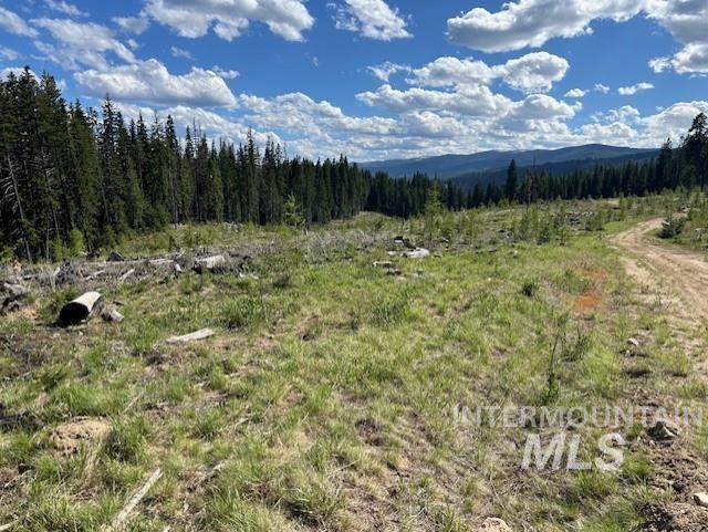 TBD French Gulch Parcel 3, Elk City, Idaho 83525, Land For Sale, Price $265,000, 98911173