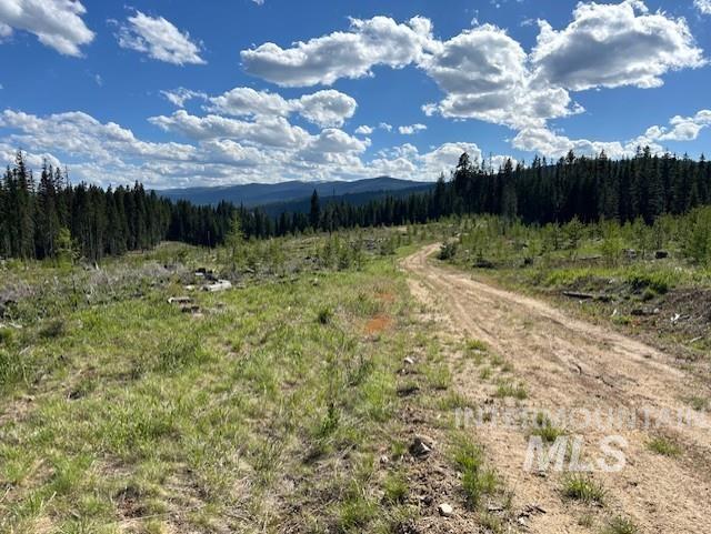 TBD French Gulch Parcel 3, Elk City, Idaho 83525, Land For Sale, Price $265,000, 98911173