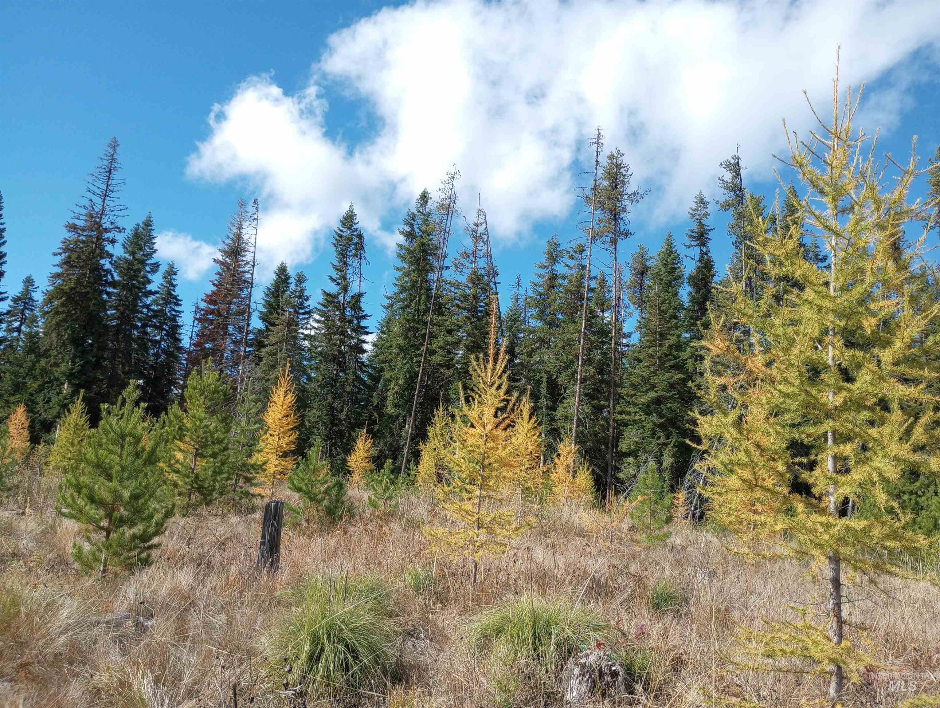 TBD French Gulch Parcel 3, Elk City, Idaho 83525, Land For Sale, Price $265,000, 98911173