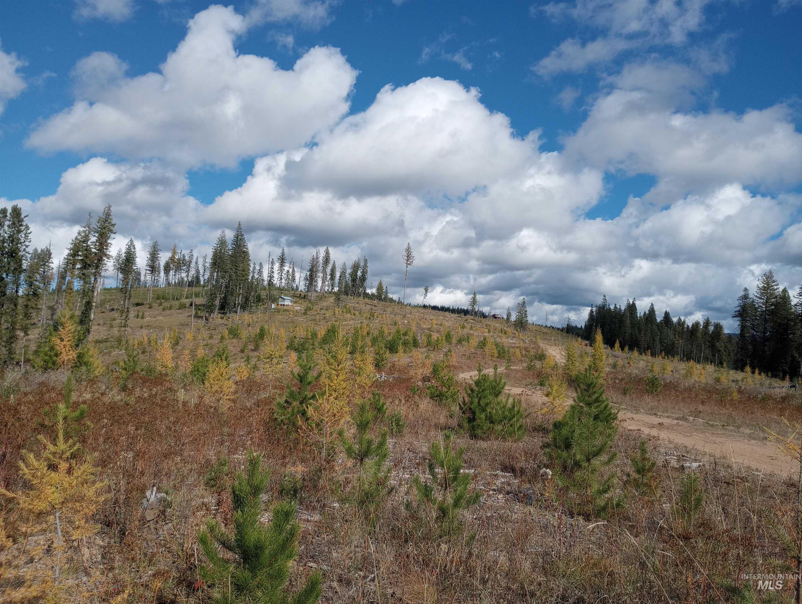 TBD French Gulch Parcel 3, Elk City, Idaho 83525, Land For Sale, Price $265,000, 98911173