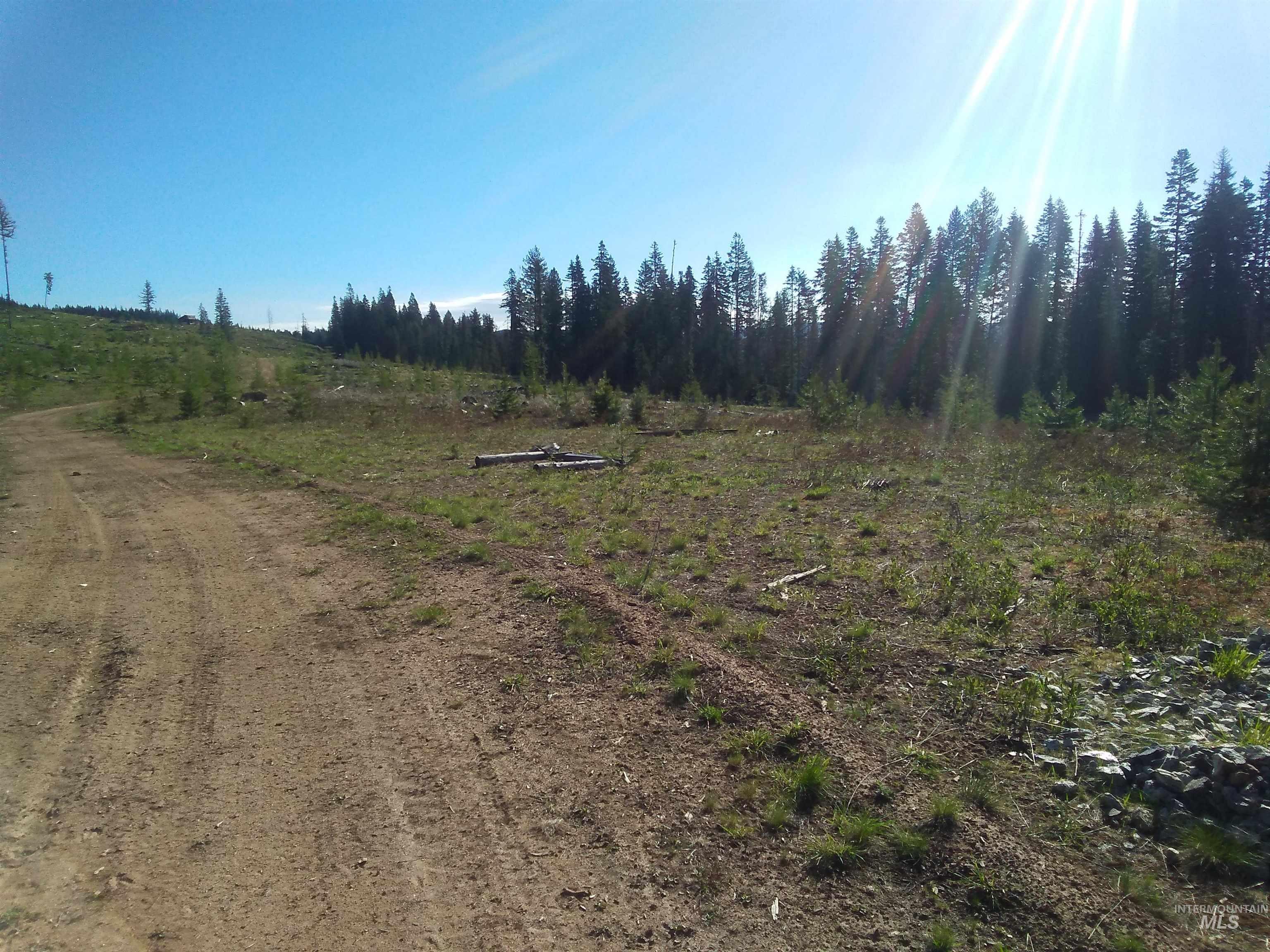 TBD French Gulch Parcel 3, Elk City, Idaho 83525, Land For Sale, Price $265,000, 98911173