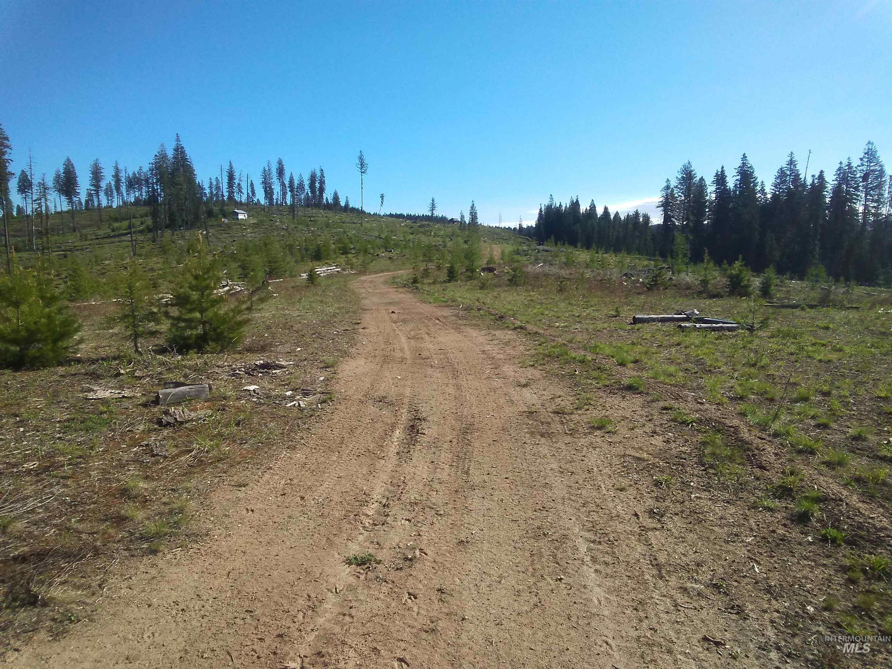 TBD French Gulch Parcel 3, Elk City, Idaho 83525, Land For Sale, Price $265,000, 98911173
