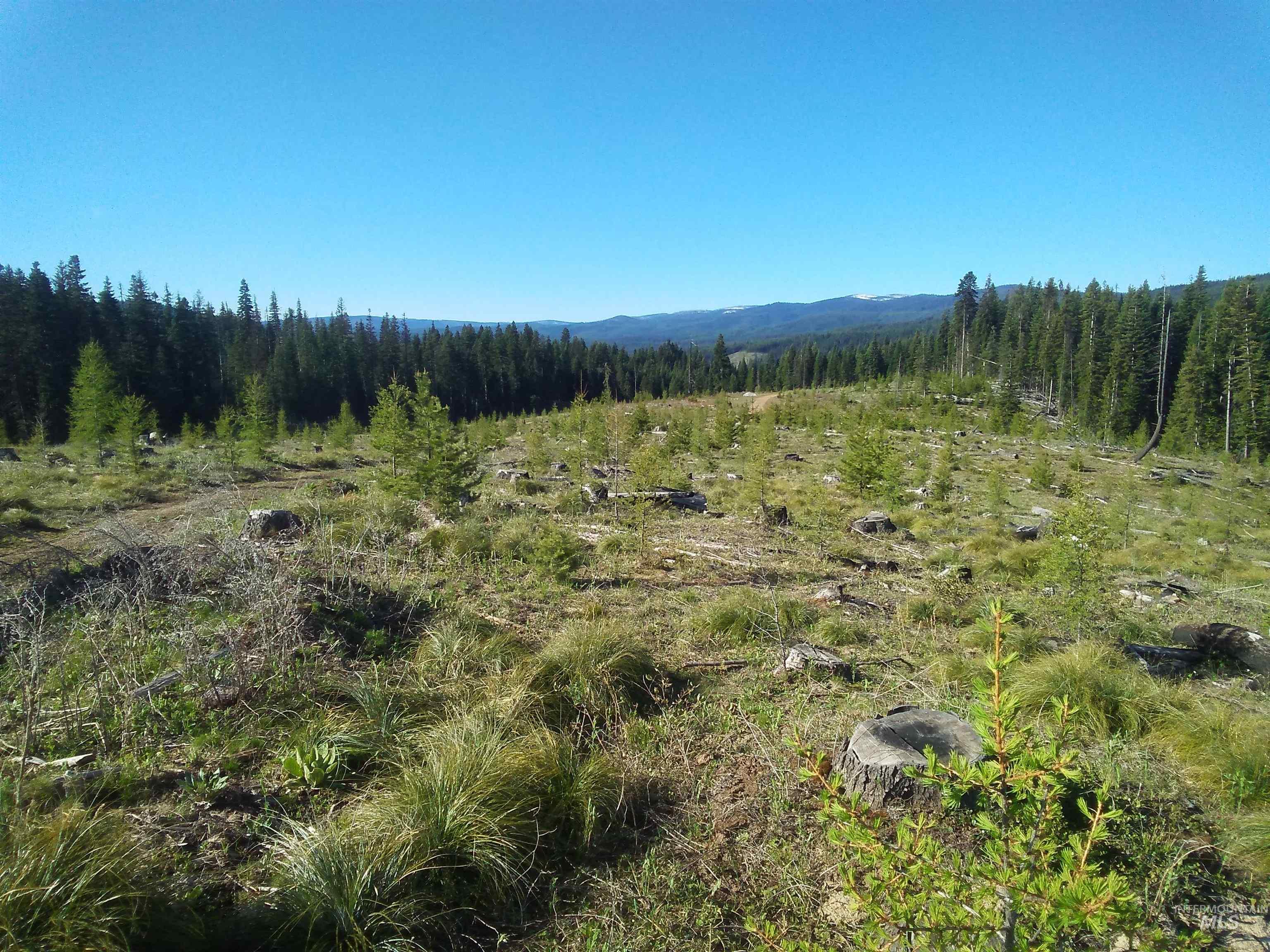 TBD French Gulch Parcel 3, Elk City, Idaho 83525, Land For Sale, Price $265,000, 98911173
