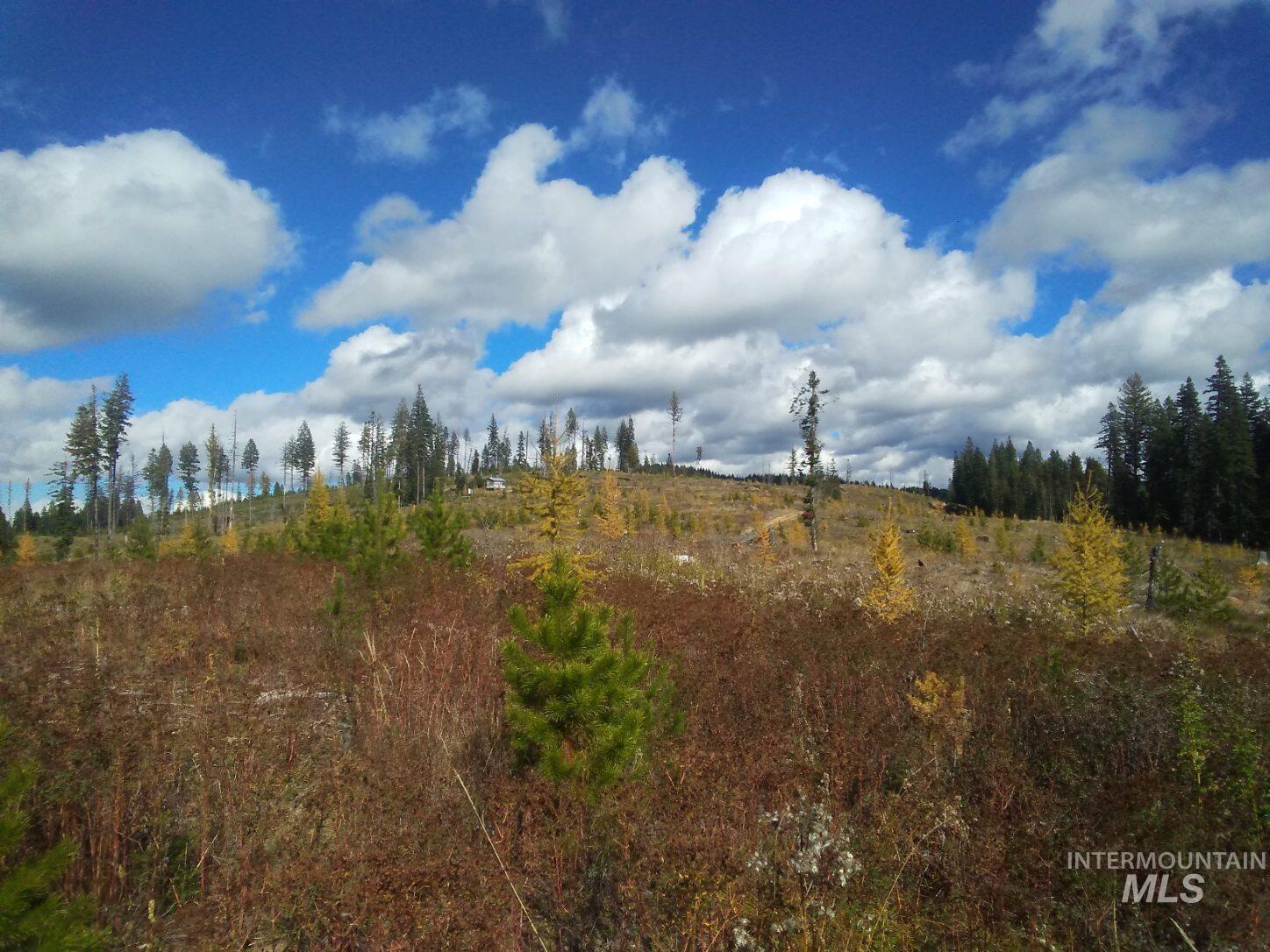 TBD French Gulch Parcel 3, Elk City, Idaho 83525, Land For Sale, Price $265,000, 98911173