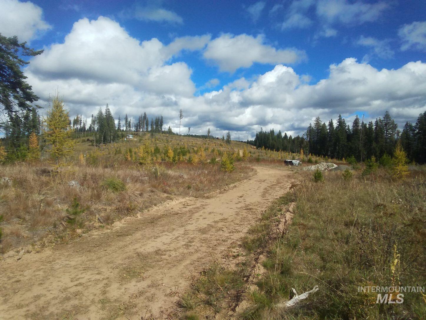 TBD French Gulch Parcel 3, Elk City, Idaho 83525, Land For Sale, Price $265,000, 98911173