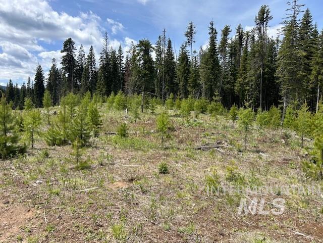 TBD French Gulch Parcel 3, Elk City, Idaho 83525, Land For Sale, Price $265,000, 98911173