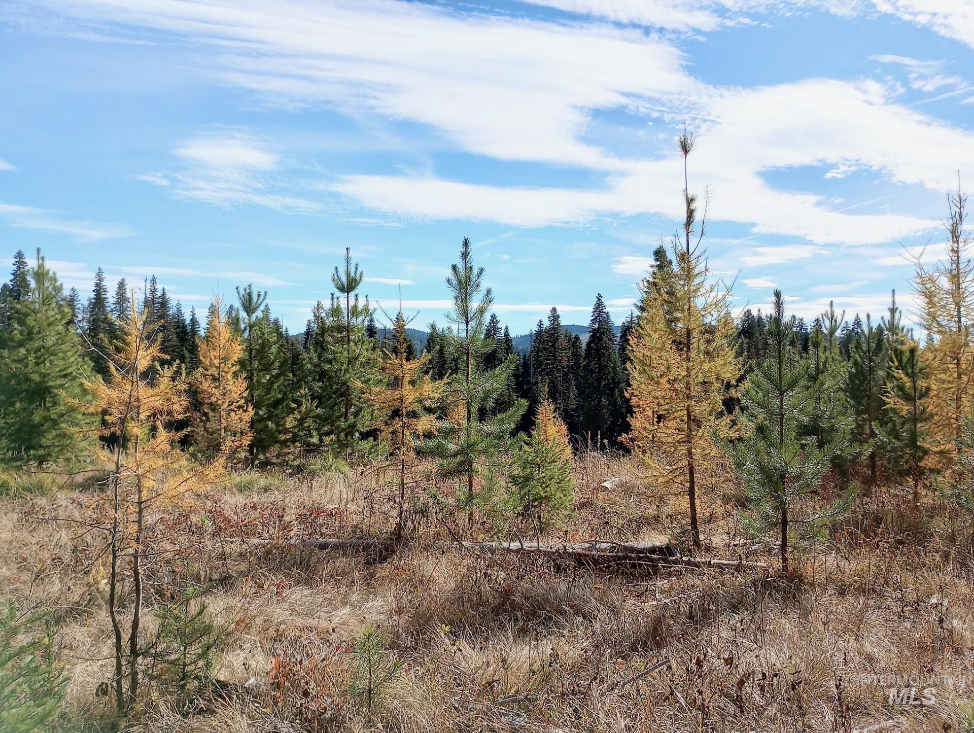 TBD French Gulch Parcel 3, Elk City, Idaho 83525, Land For Sale, Price $265,000, 98911173