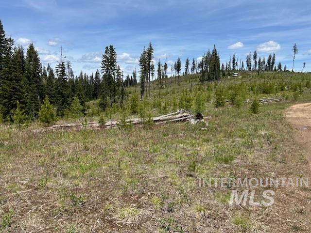 TBD French Gulch Parcel 3, Elk City, Idaho 83525, Land For Sale, Price $265,000, 98911173