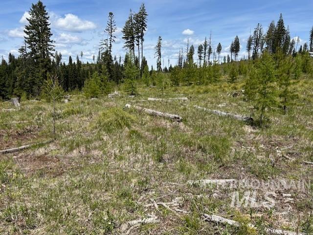 TBD French Gulch Parcel 3, Elk City, Idaho 83525, Land For Sale, Price $265,000, 98911173