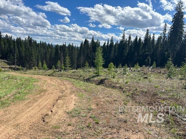 TBD French Gulch Parcel 3, Elk City, Idaho 83525, Land For Sale, Price $265,000, 98911173