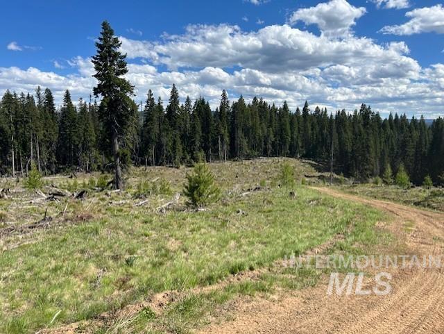 TBD French Gulch Parcel 3, Elk City, Idaho 83525, Land For Sale, Price $265,000, 98911173