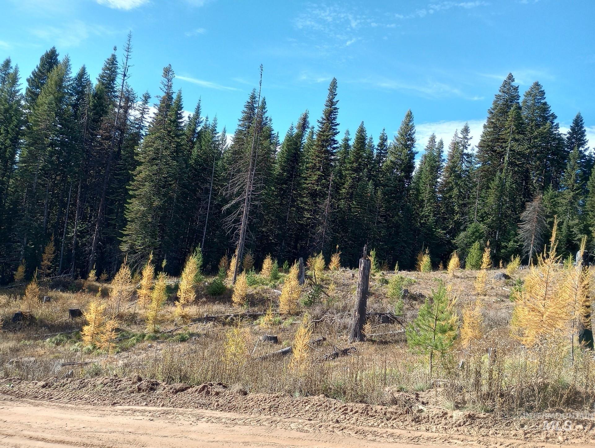 TBD French Gulch Parcel 3, Elk City, Idaho 83525, Land For Sale, Price $265,000, 98911173