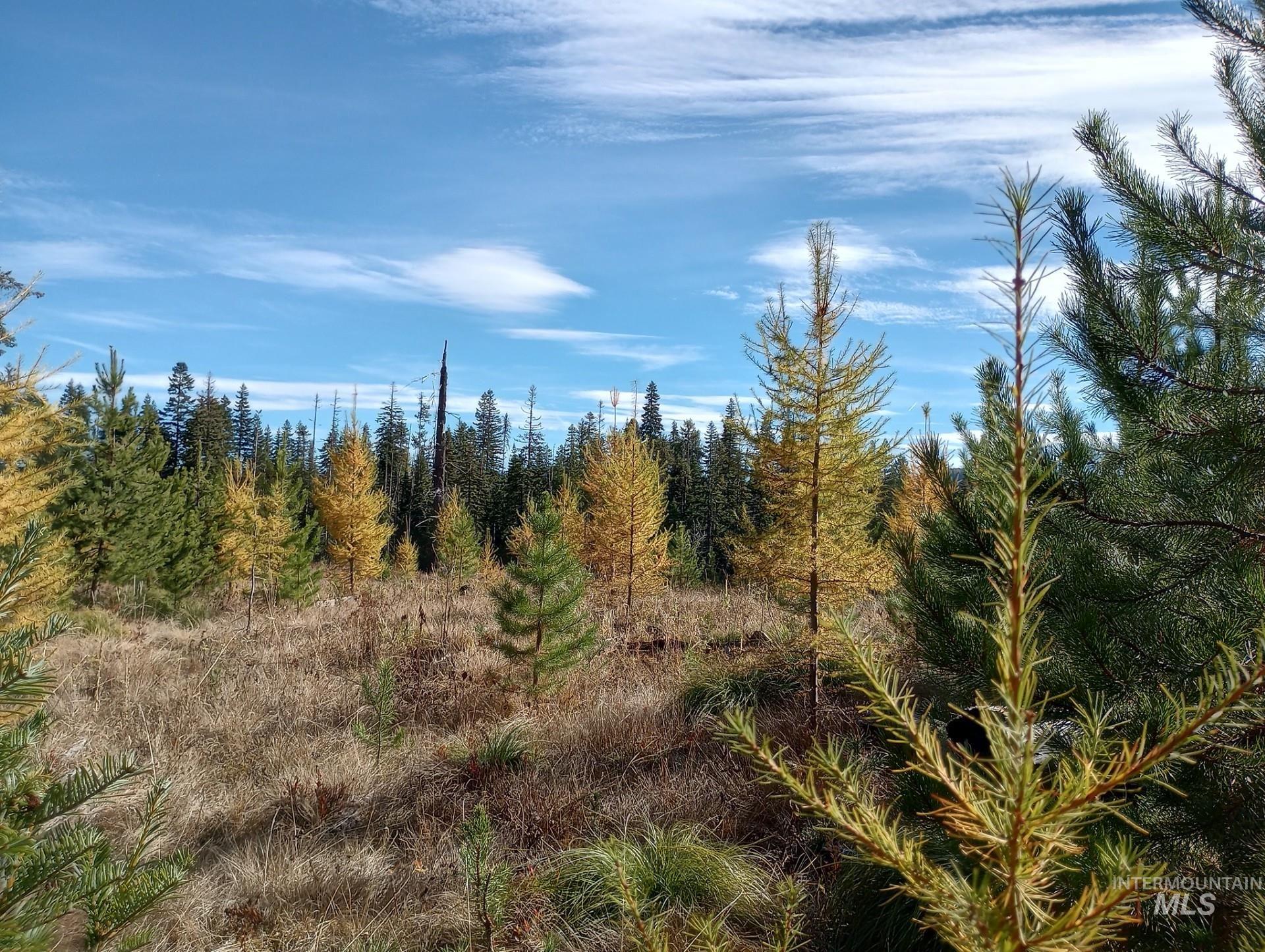 TBD French Gulch Parcel 3, Elk City, Idaho 83525, Land For Sale, Price $265,000, 98911173