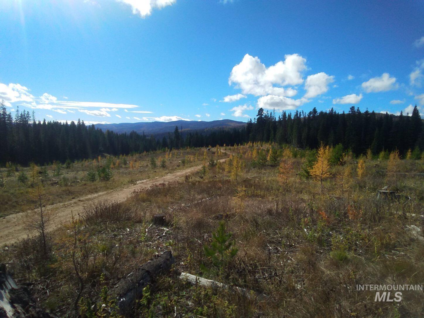 TBD French Gulch Parcel 3, Elk City, Idaho 83525, Land For Sale, Price $265,000, 98911173