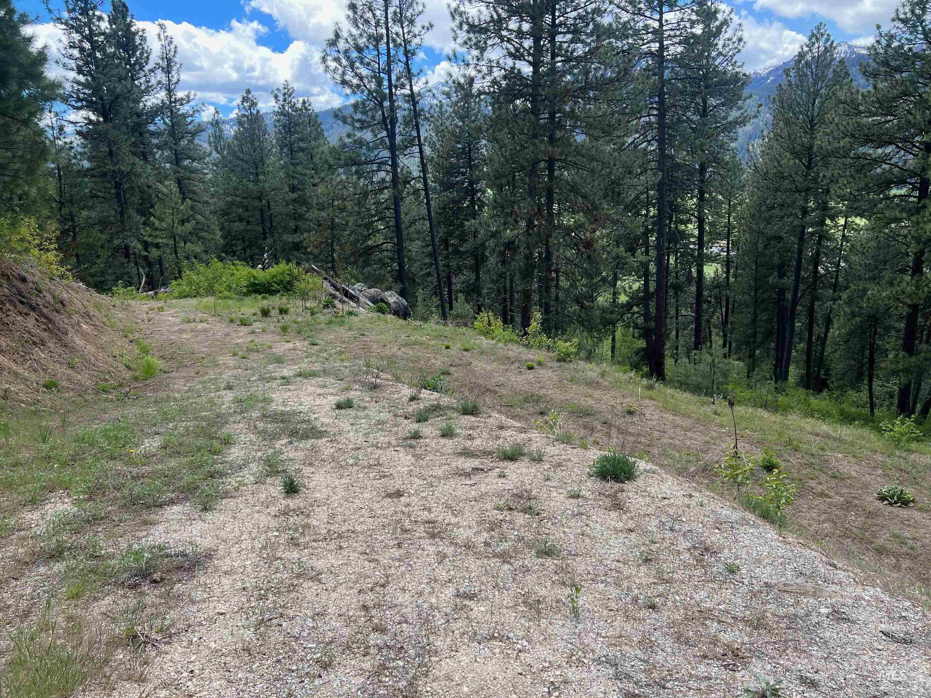 465 Collier View Road, Cascade, Idaho 83611, Land For Sale, Price $95,000,MLS 98911196
