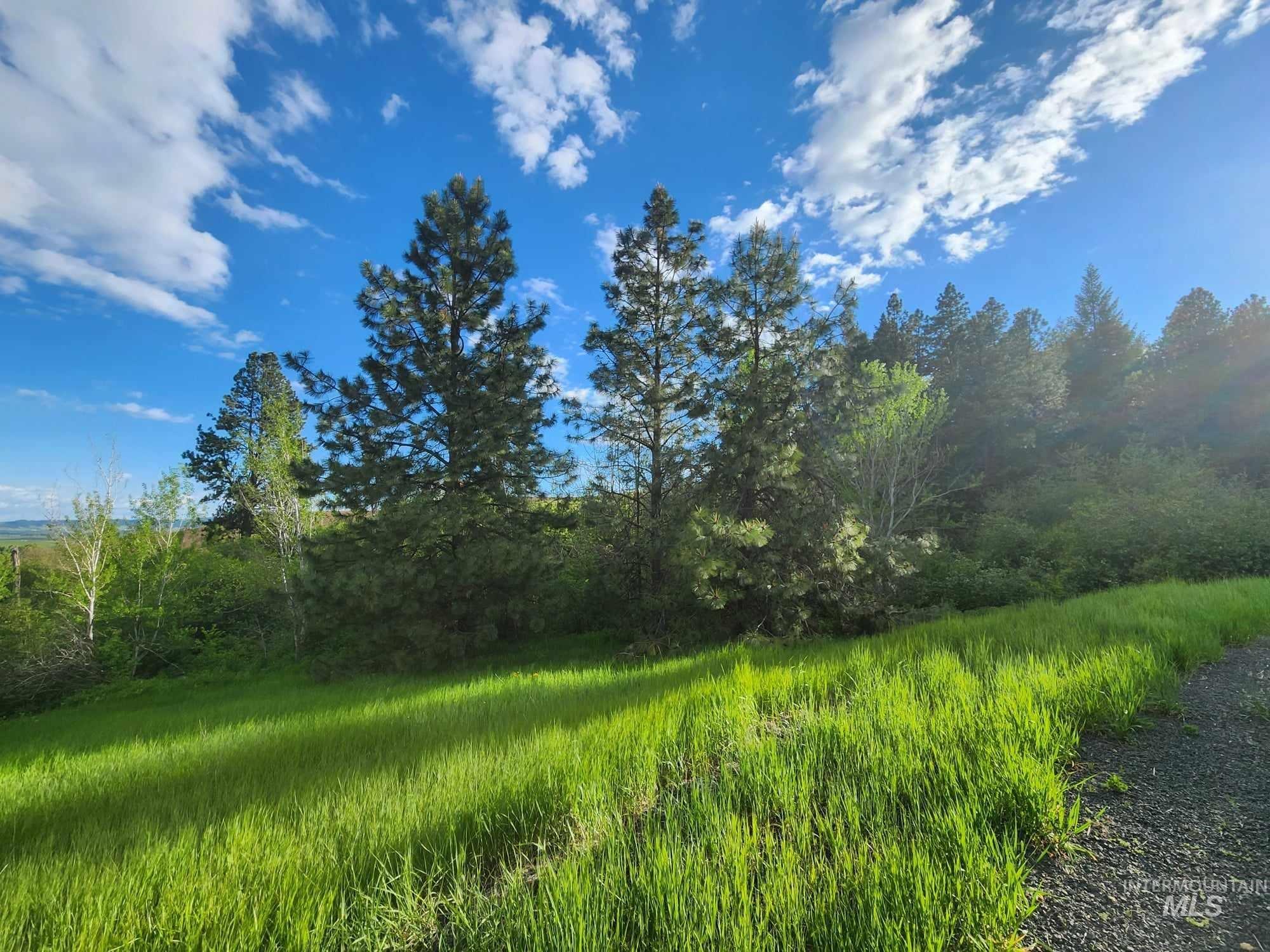 TBD Ken Trail, Moscow, Idaho 83843, Land For Sale, Price $279,000,MLS 98911368