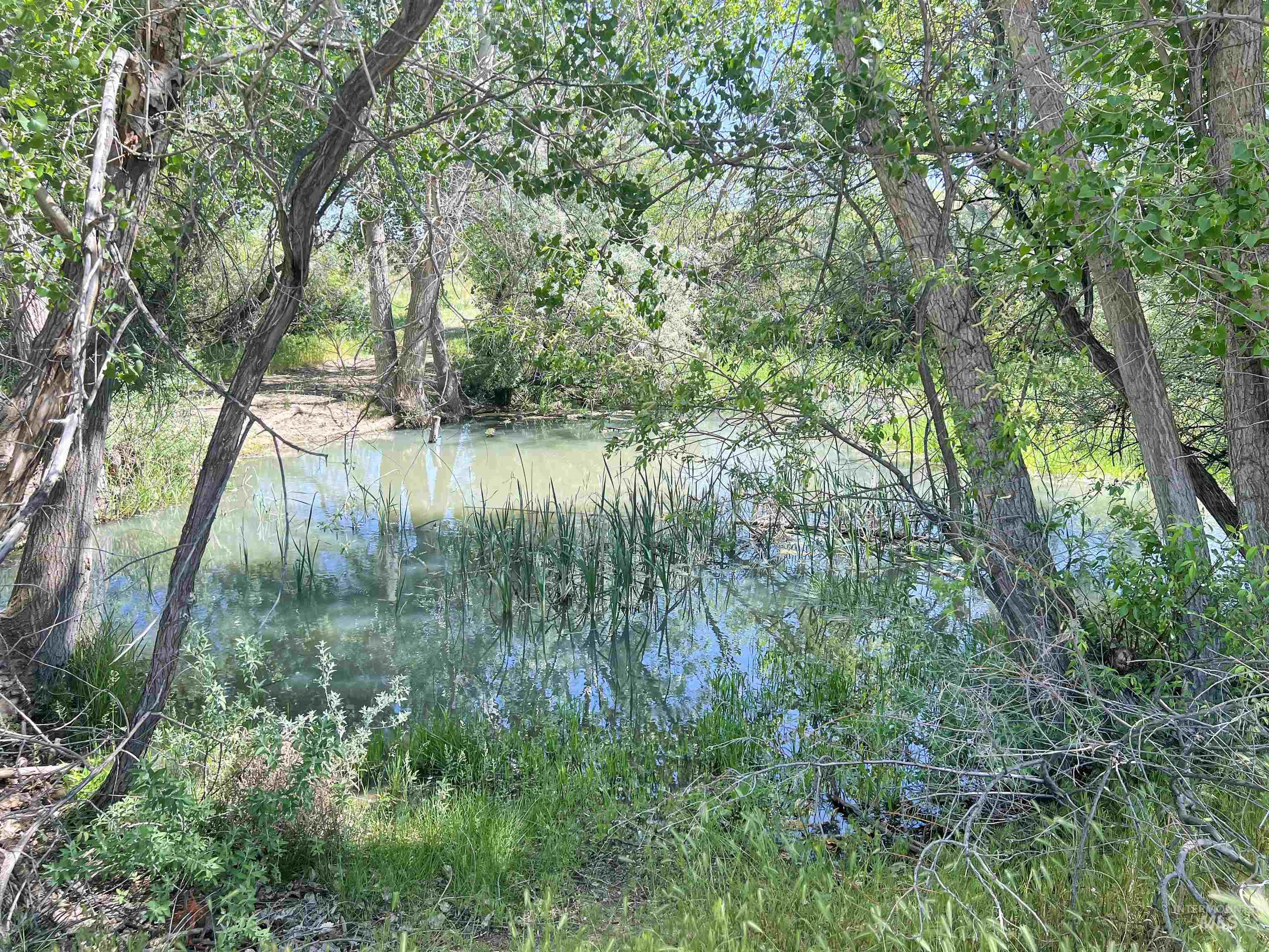 830 Snively Gulch Rd, Adrian, Oregon 97901, Farm & Ranch For Sale, Price $1,300,000, 98911672