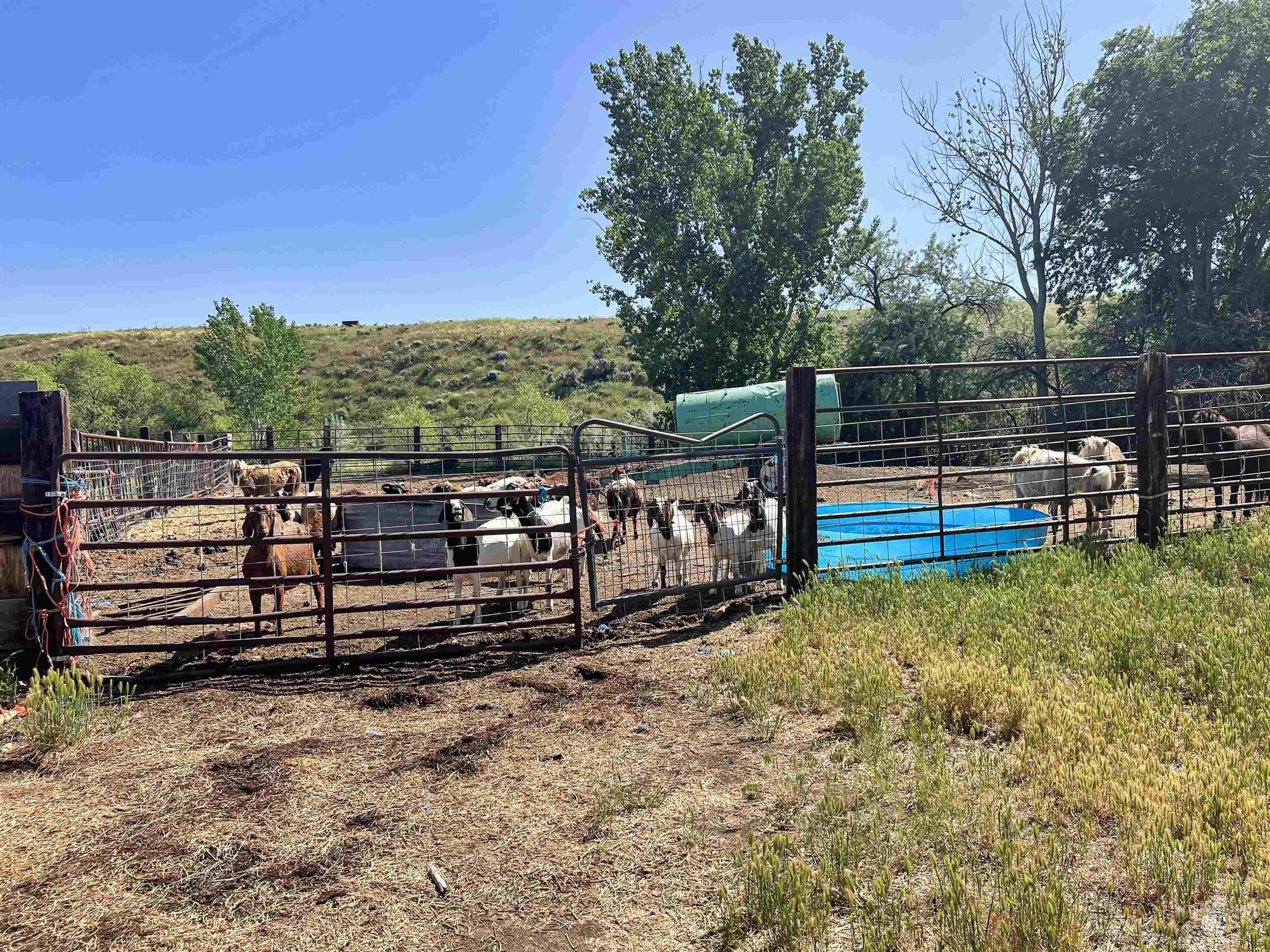 830 Snively Gulch Rd, Adrian, Oregon 97901, Farm & Ranch For Sale, Price $1,300,000, 98911672